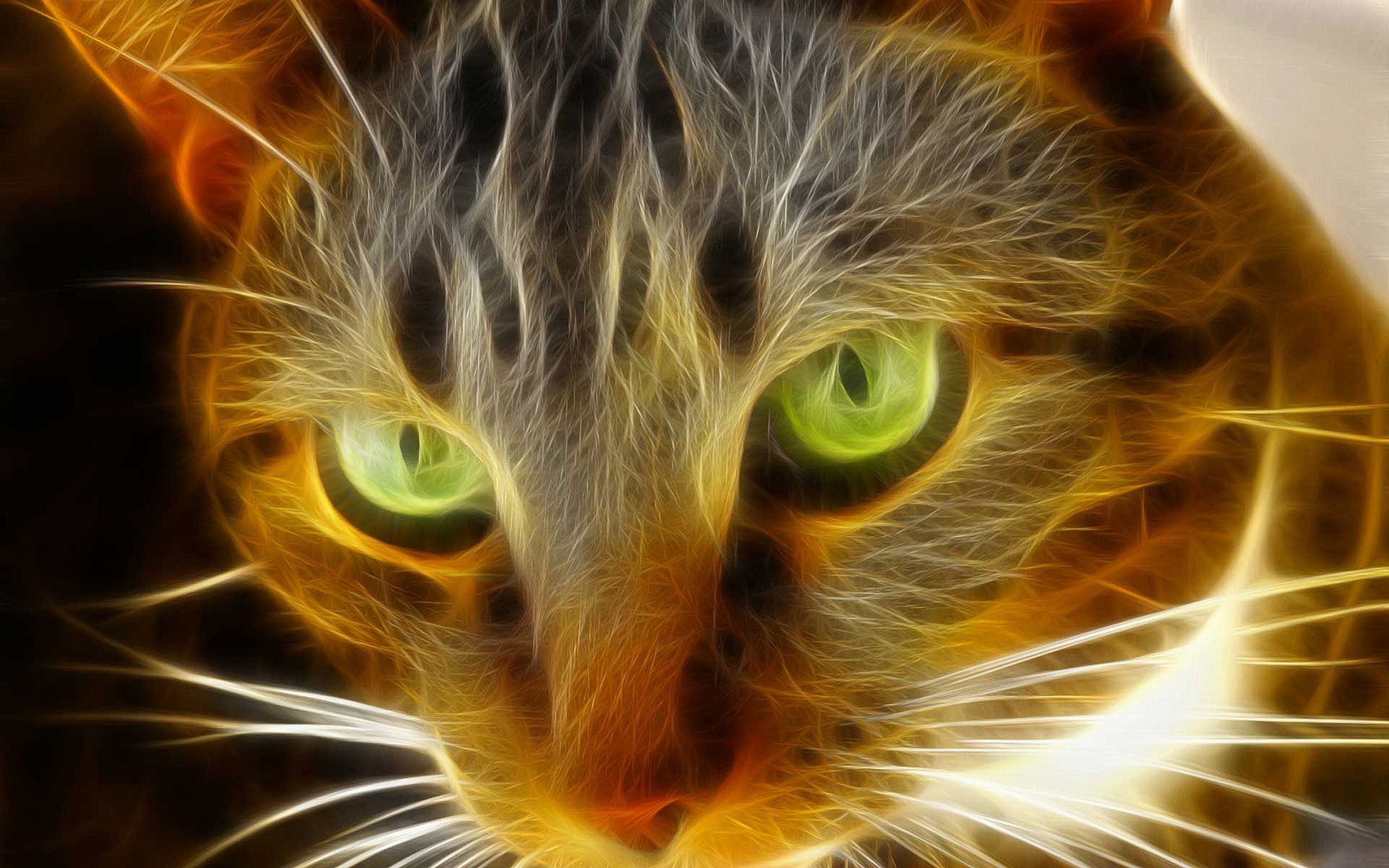 2560x1600 Cool Animal Image Desktop - http://wallawy.com/cool-animal Â· Cat WallpaperAnimal  ...