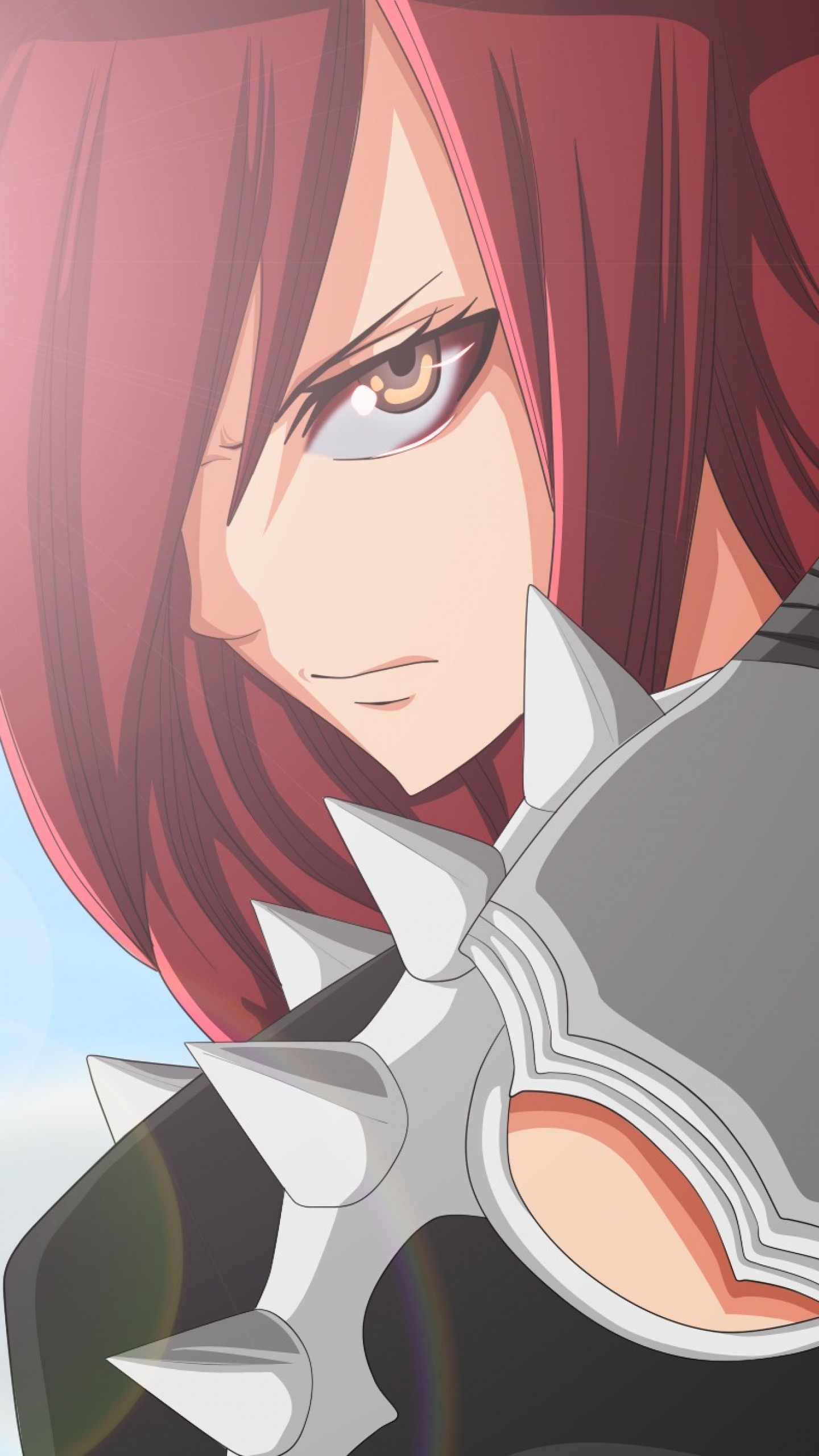 1440x2560 Preview wallpaper fairy tail, erza scarlet, mirajane strauss, face, anime,  girl