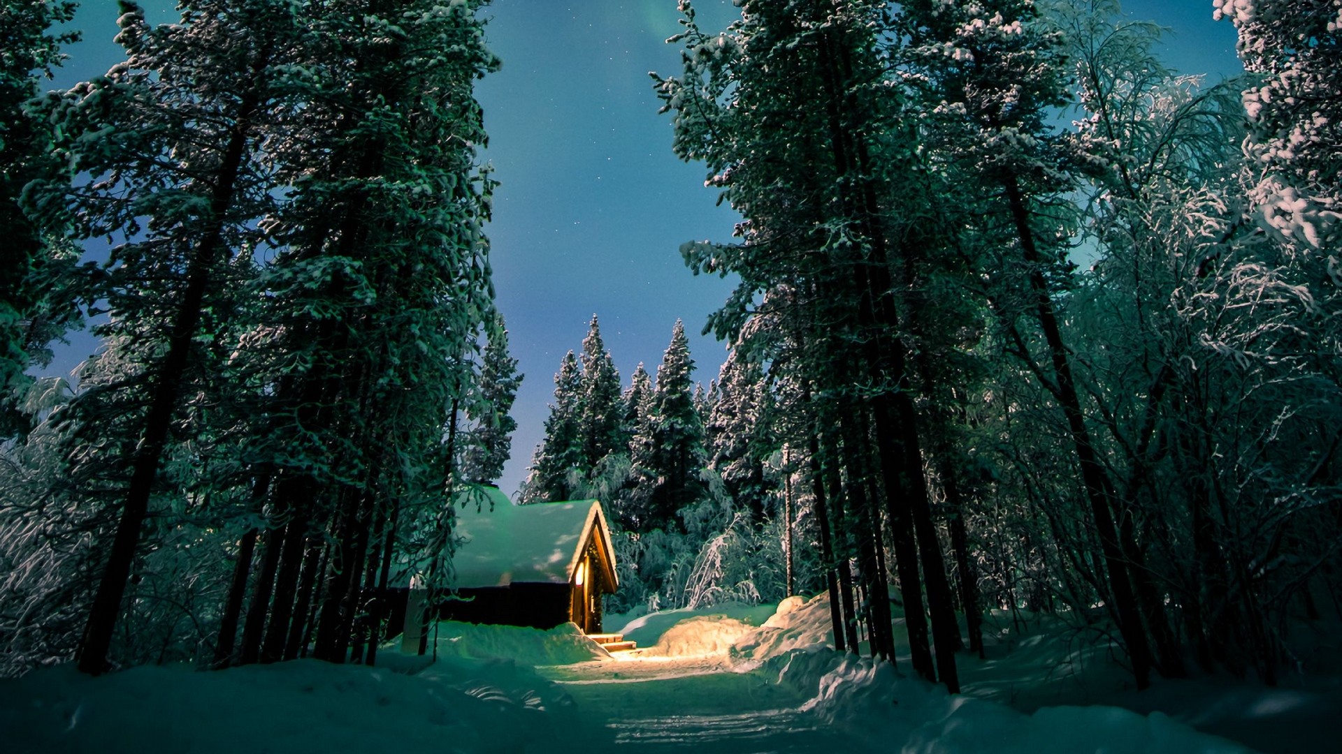 1920x1080  Wallpaper northern lights, aurora, forest, snow, night, winter