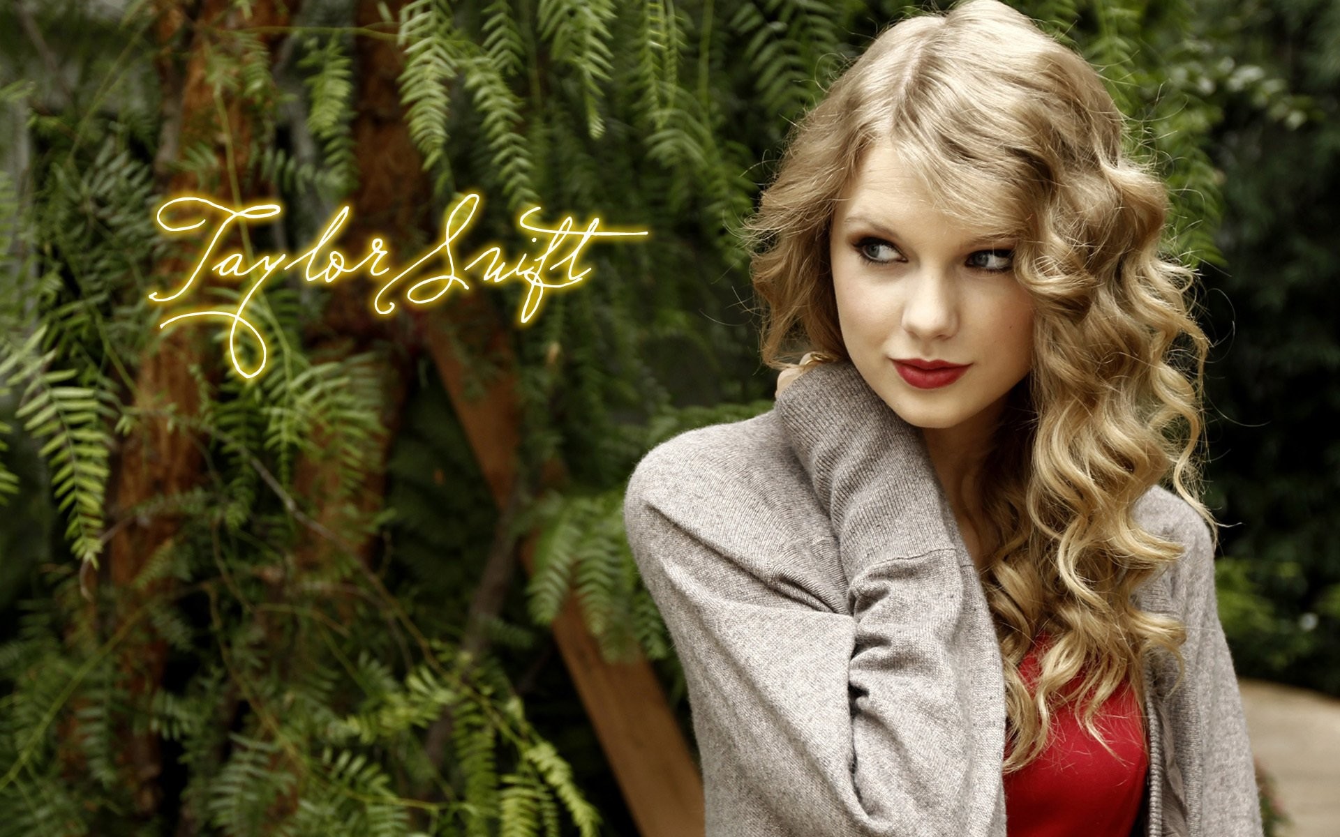 1920x1200 HD Wallpaper | Background Image ID:212740.  Music Taylor Swift