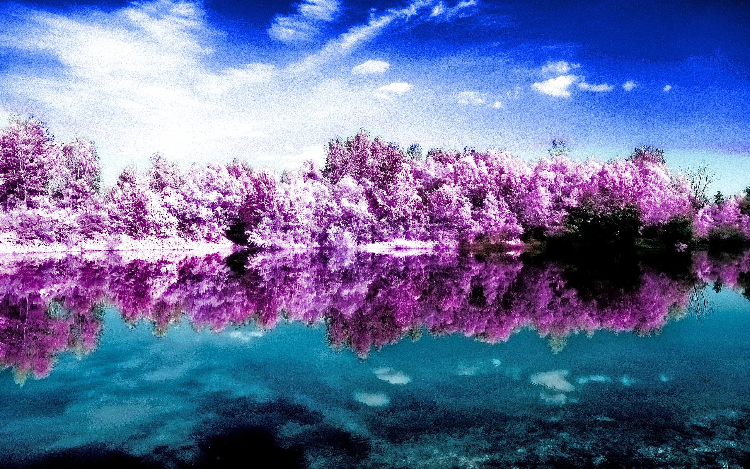 2560x1600 Earth - Scenic Cloud Infrared Water Sky Reflection Pink Wallpaper