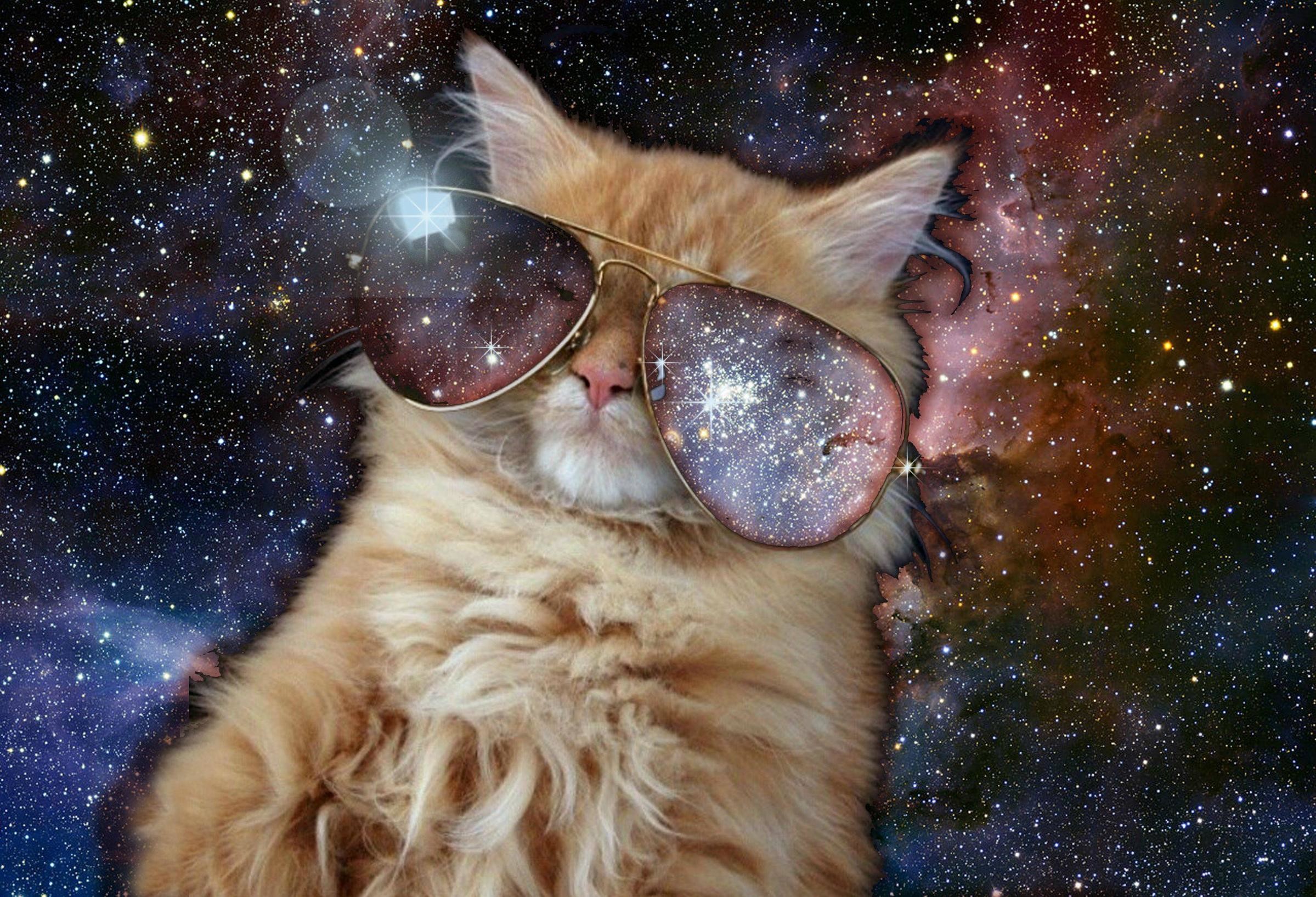 2399x1636 Awesome Cats In Space Wallpapers Caveman Circus Caveman Circus 