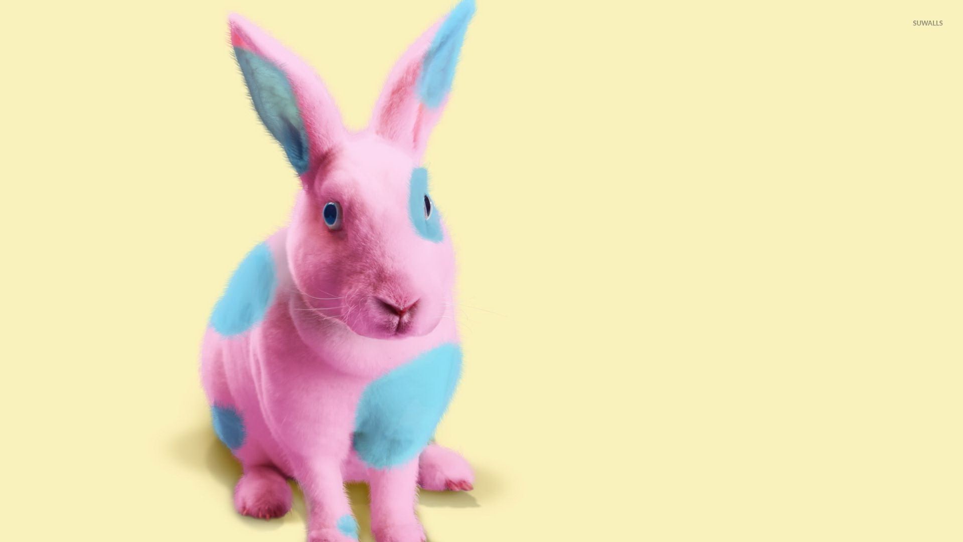 1920x1080 Bunny painted in pink and blue wallpaper