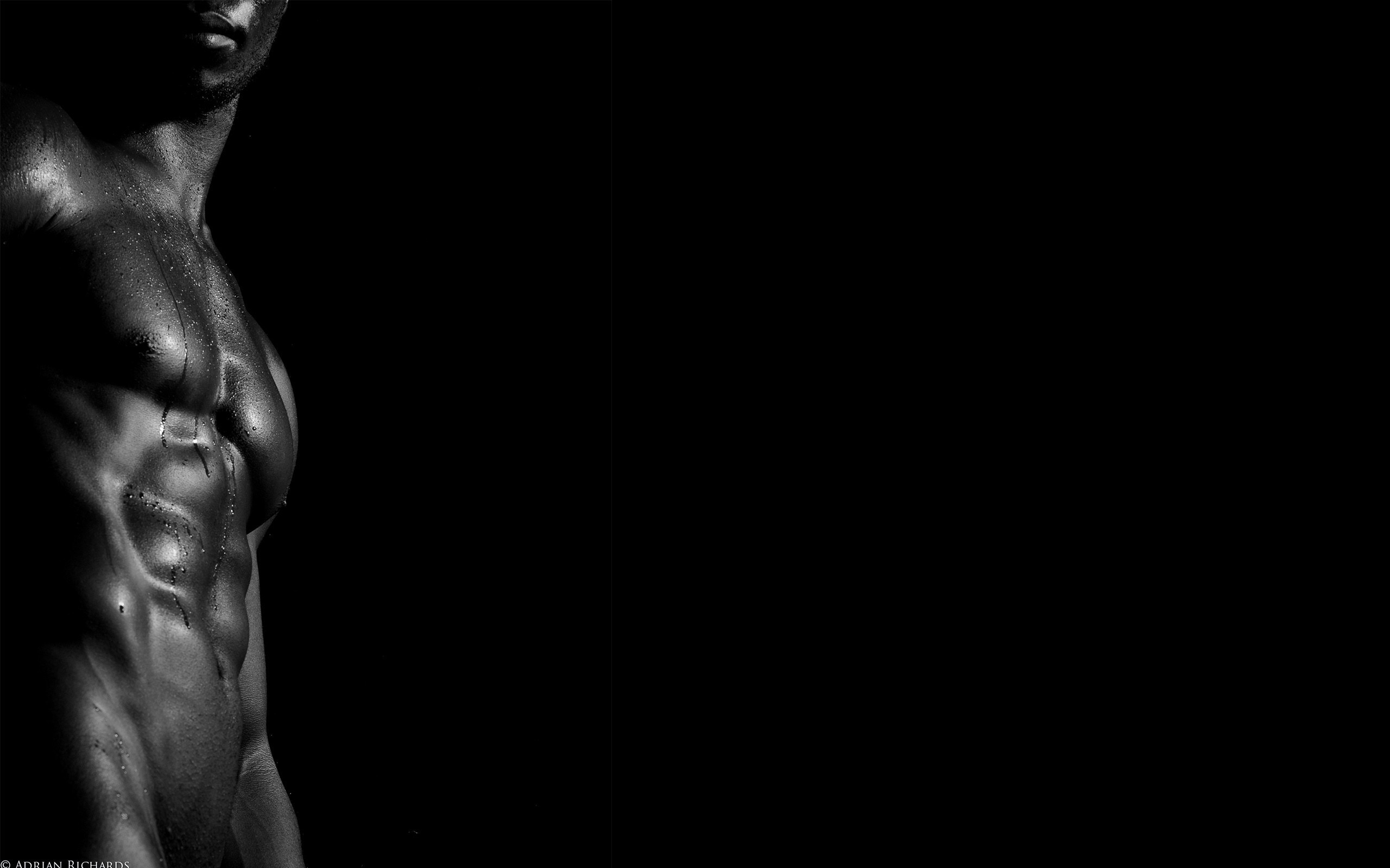 2560x1600 men black monochrome model photography muscles tattoo wet wet body abs nude  darkness Sense muscle arm