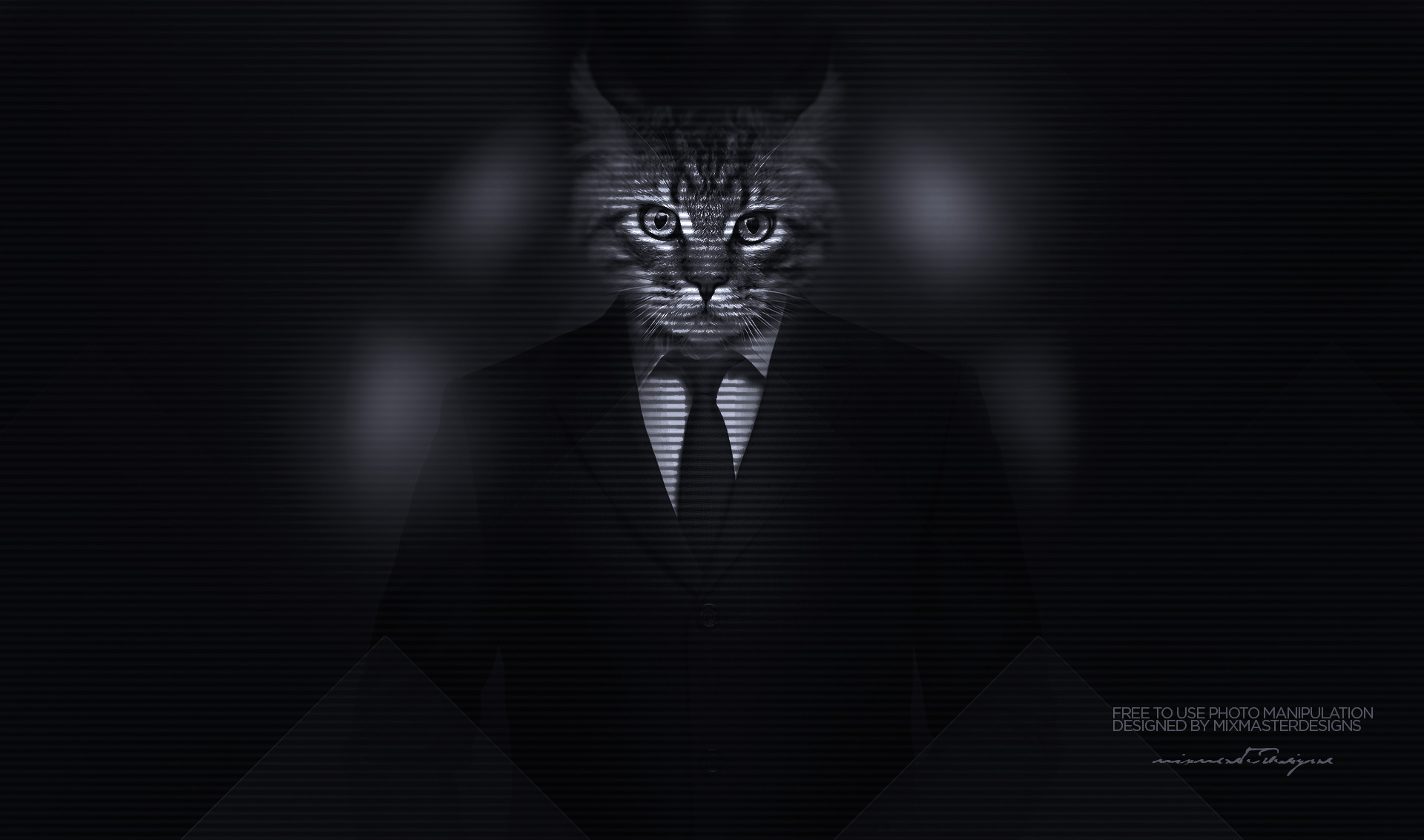 1920x1133 men illustration cat monochrome photo manipulation majestic casual channel  suits big cats classy Kitty darkness screenshot