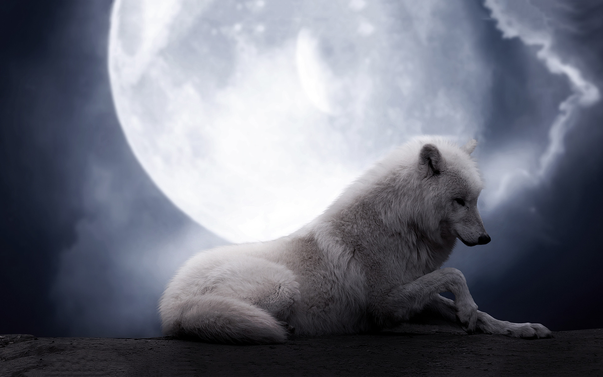 1920x1200 free pictures of wolves | HD The Wolf Moon Wallpaper