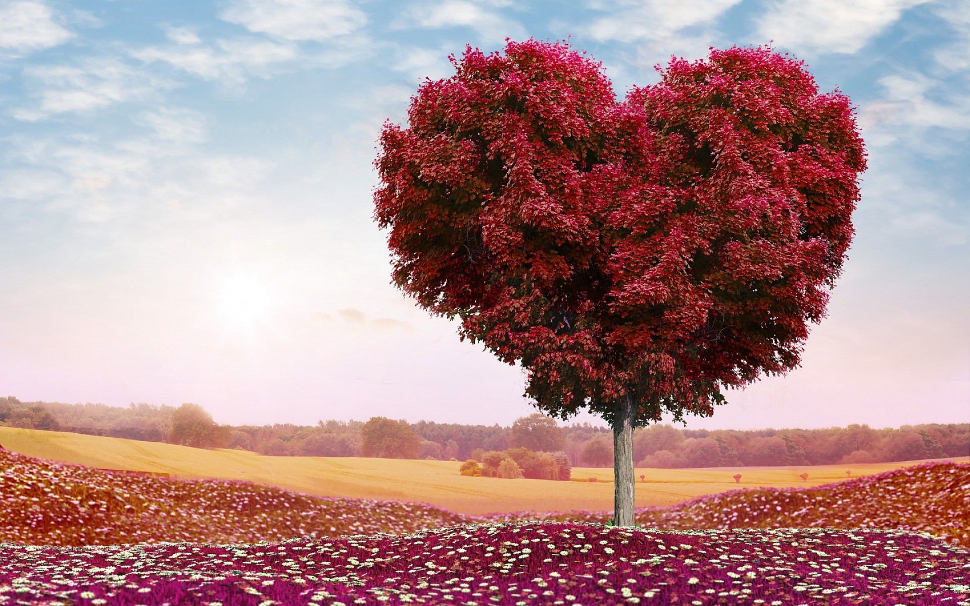 1920x1200 Beautiful Red Heart Tree wallpapers and stock photos