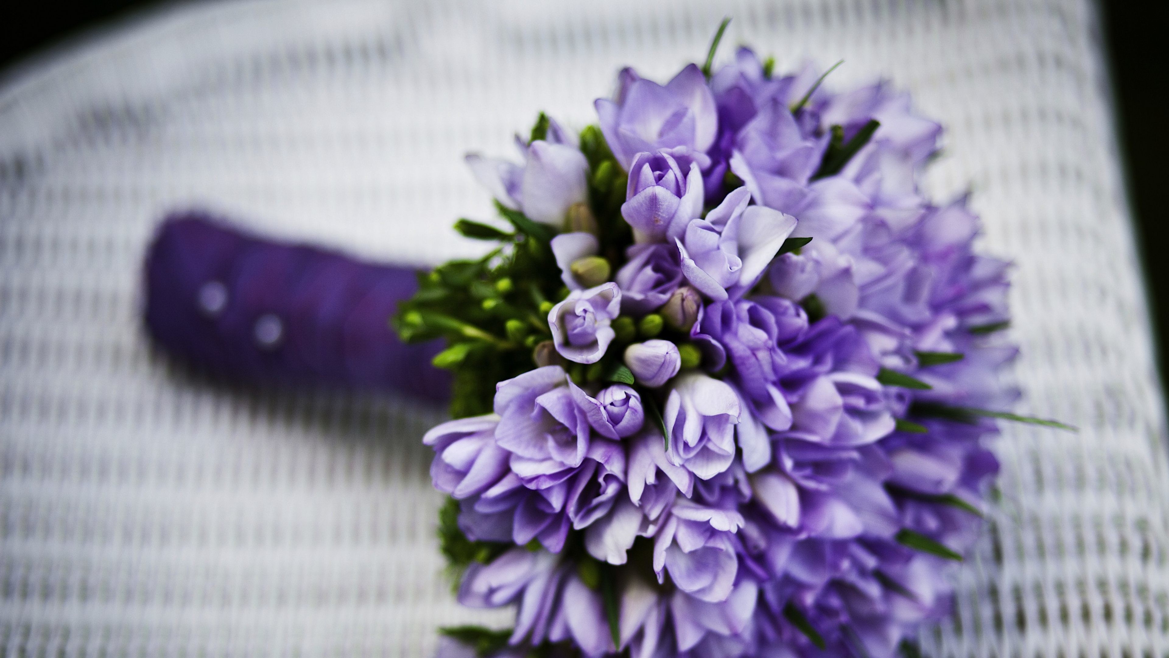 3840x2160 Purple Flower Wallpaper 9 - 3840 X 2160