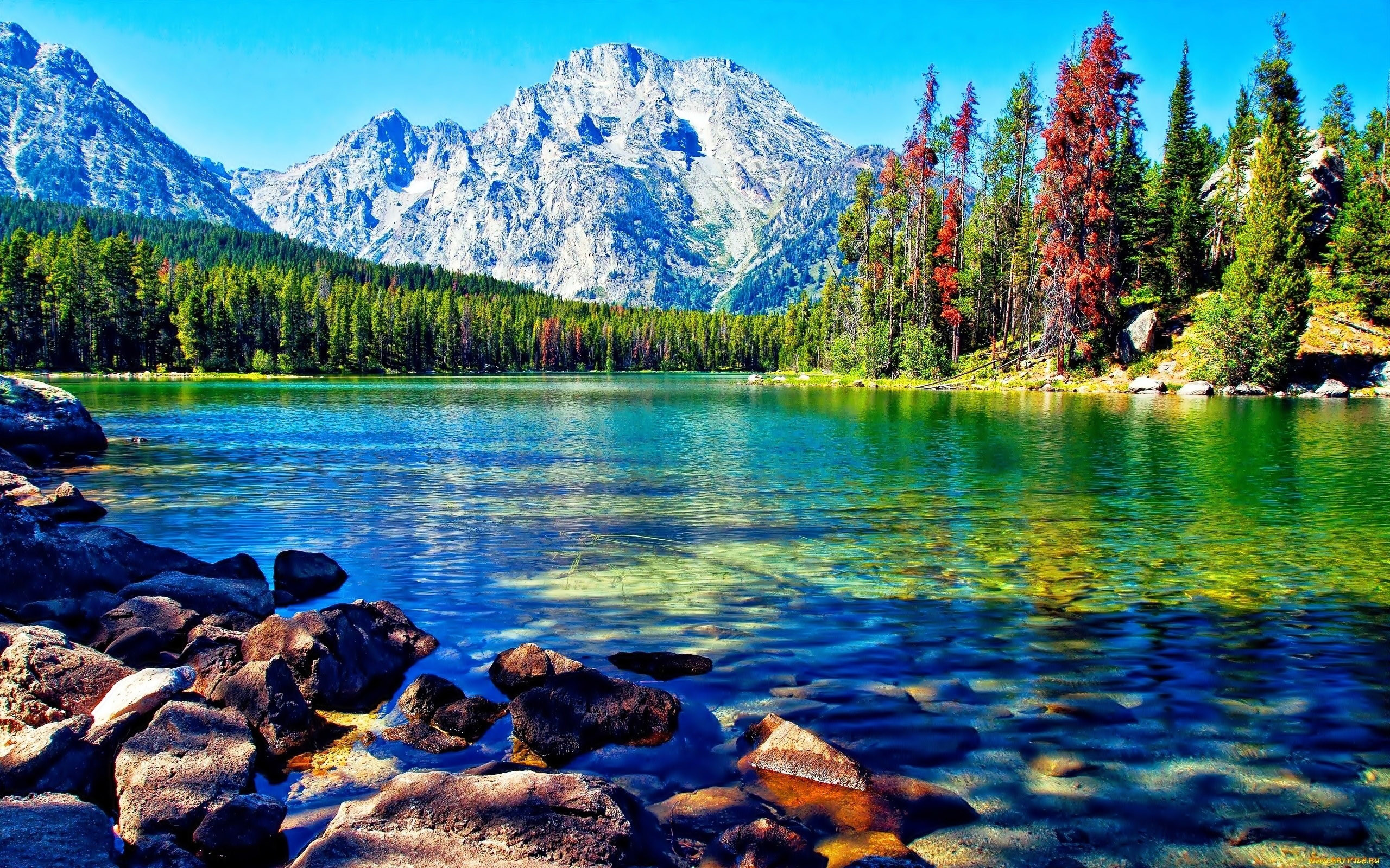 2560x1600 Beautiful Lake Mountain Forest Desktop Wallpapers
