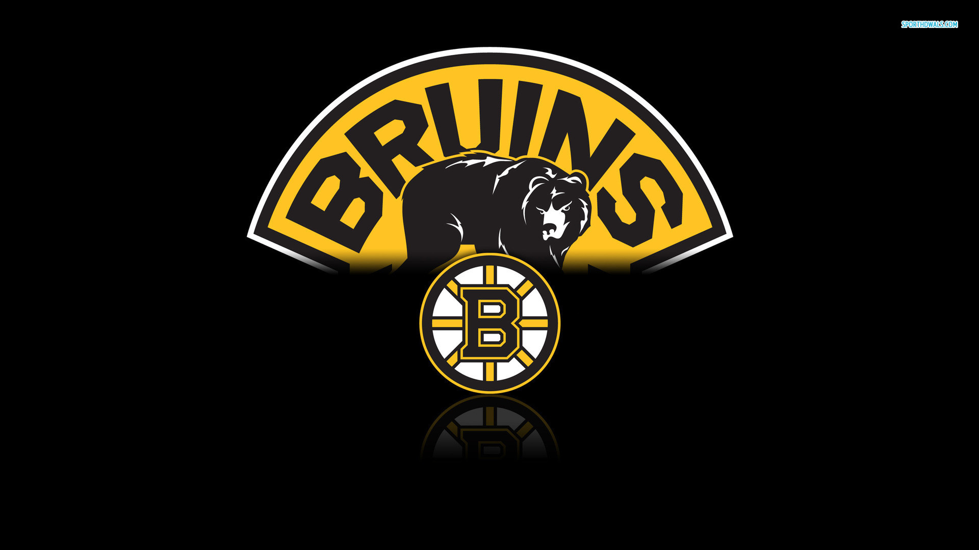 1920x1080 High Quality Boston Bruins Wallpaper | Full HD Pictures