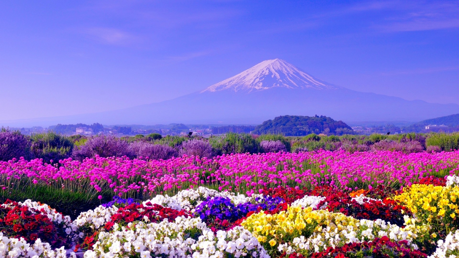 1920x1080 Nice HD Wallpapers from landscapes in the Spring season ...