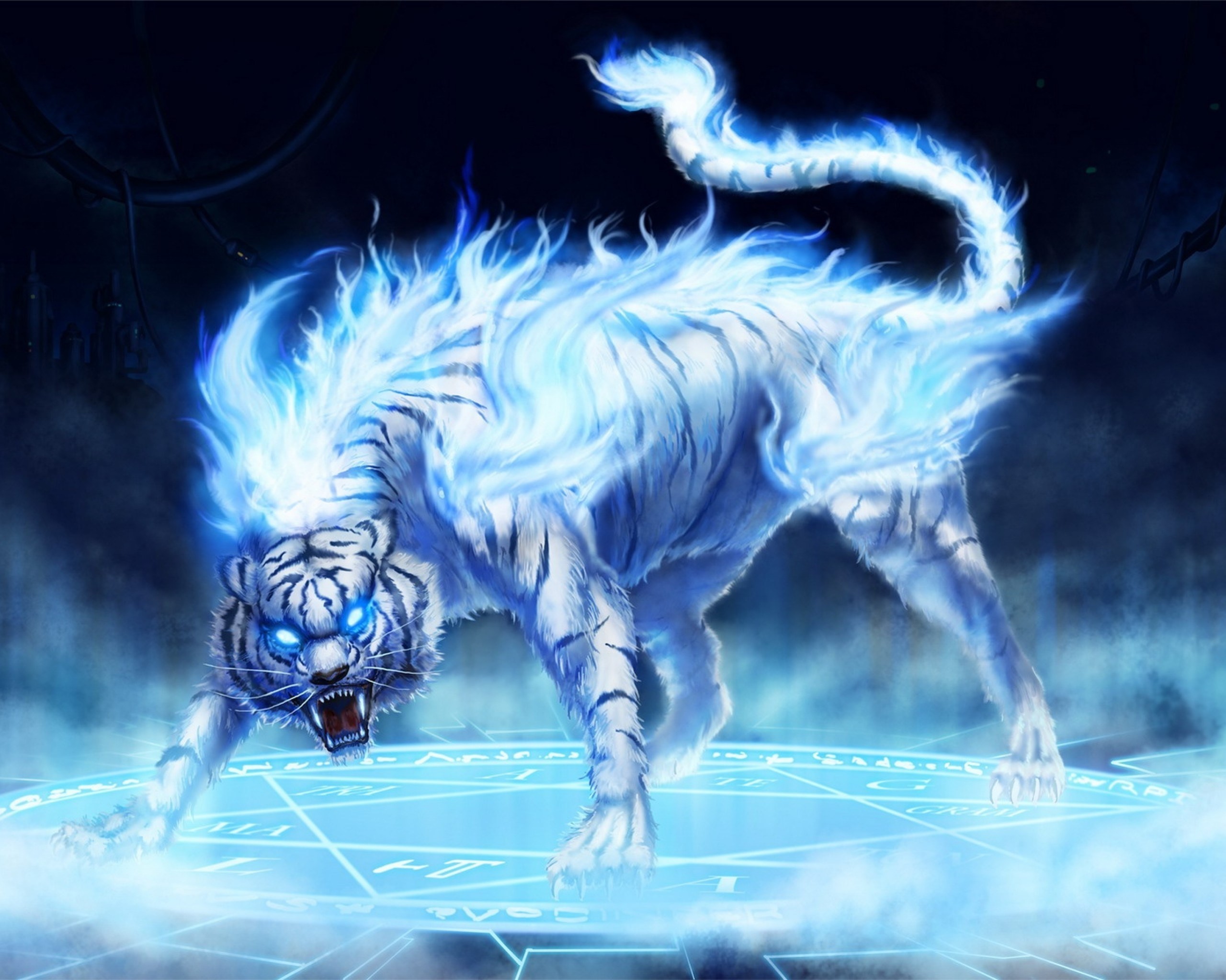 2560x2048 West Walls - white tiger wallpaper pictures free -  px