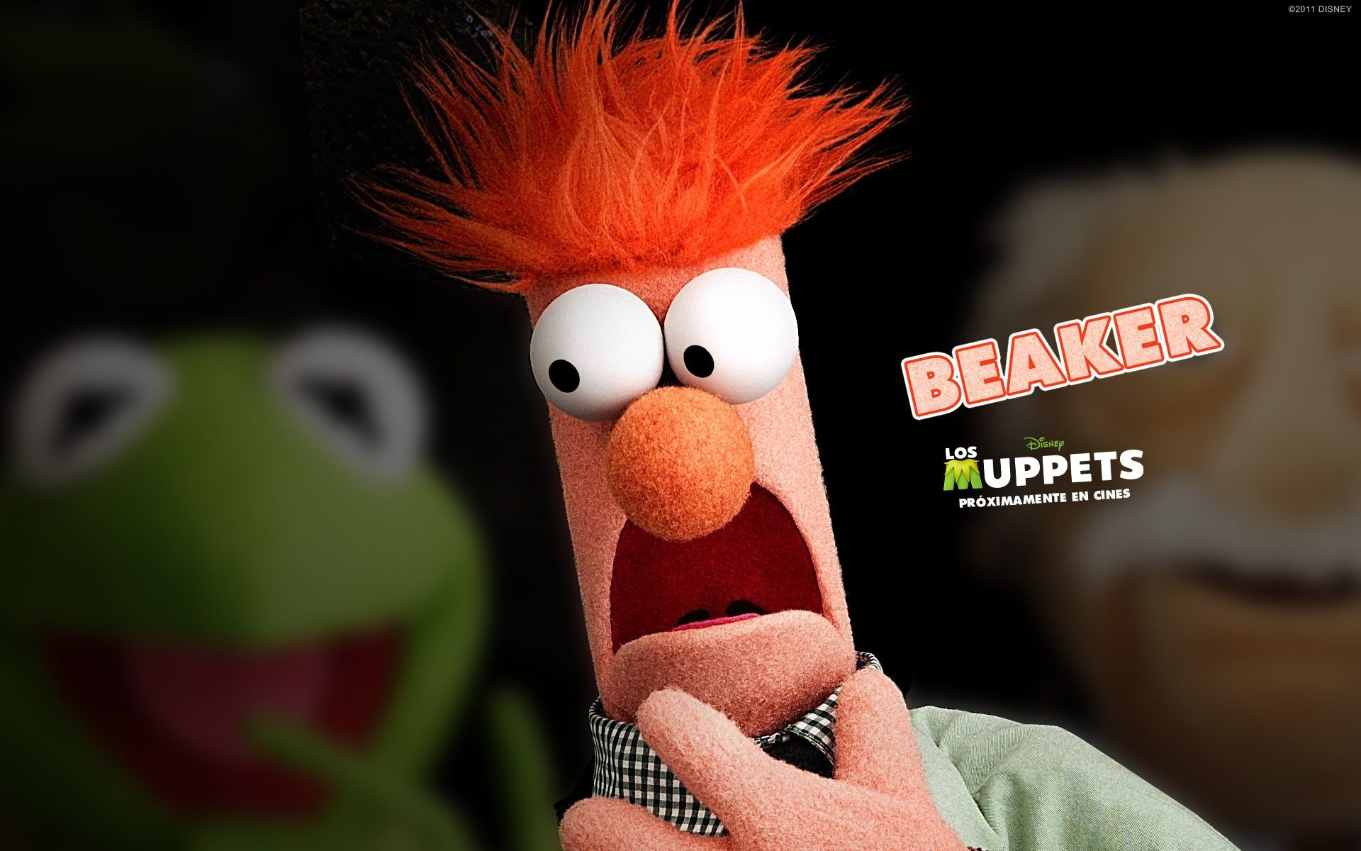 1920x1200 Beaker Muppet | Fuentes de InformaciÃ³n