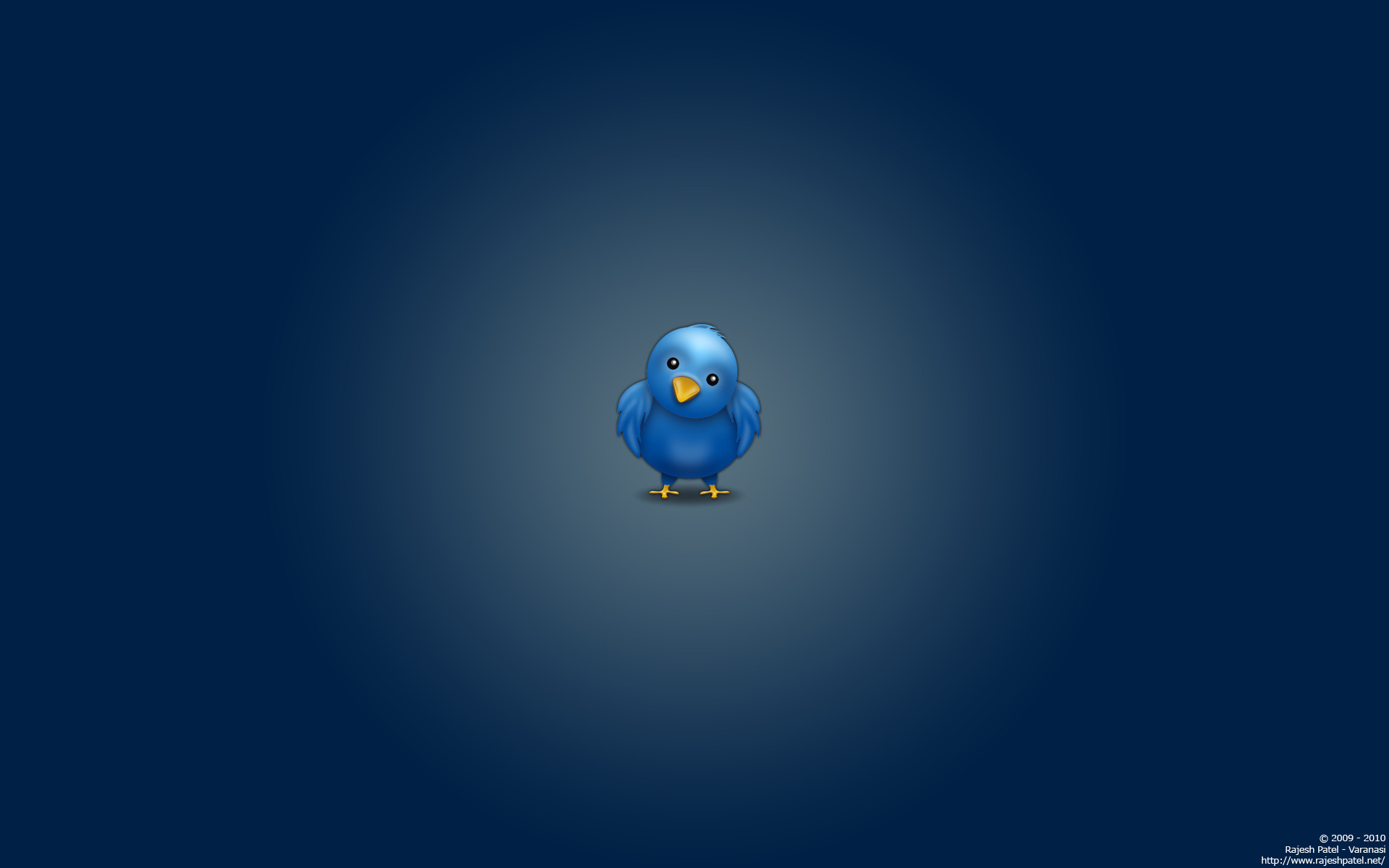 1920x1200 Twitter Bird Wallpaper HD With Twitter Cover & Background