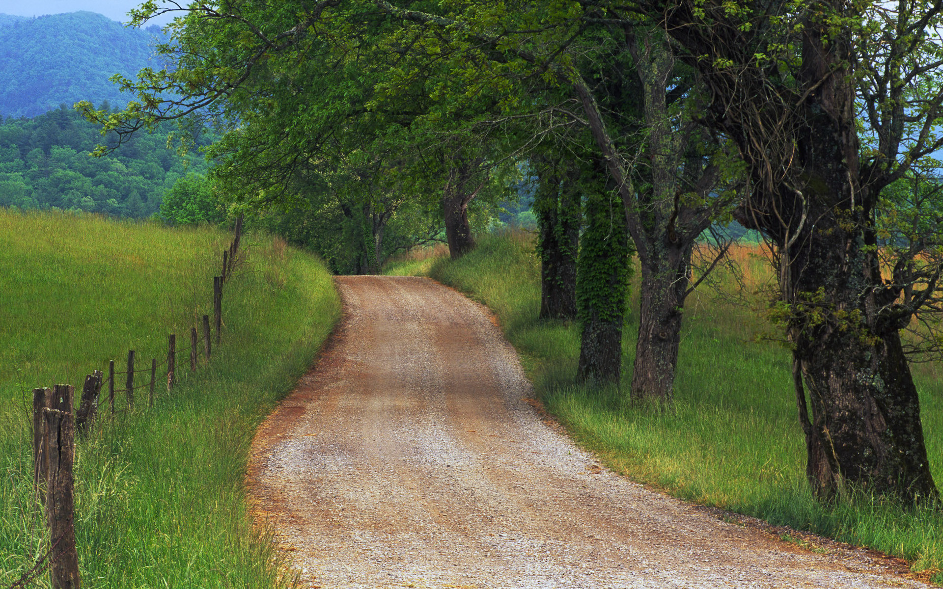 1920x1200 Country Road Smoky Mountains Tennessee HD wallpapers