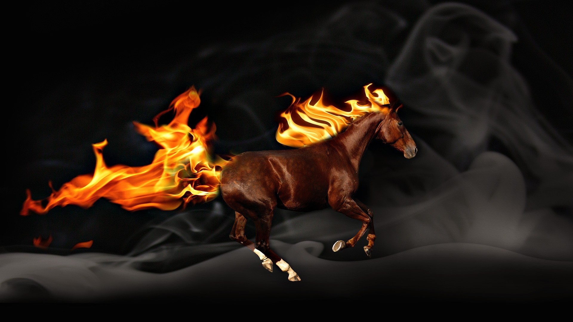 1920x1080 Fire Horse Wallpaper