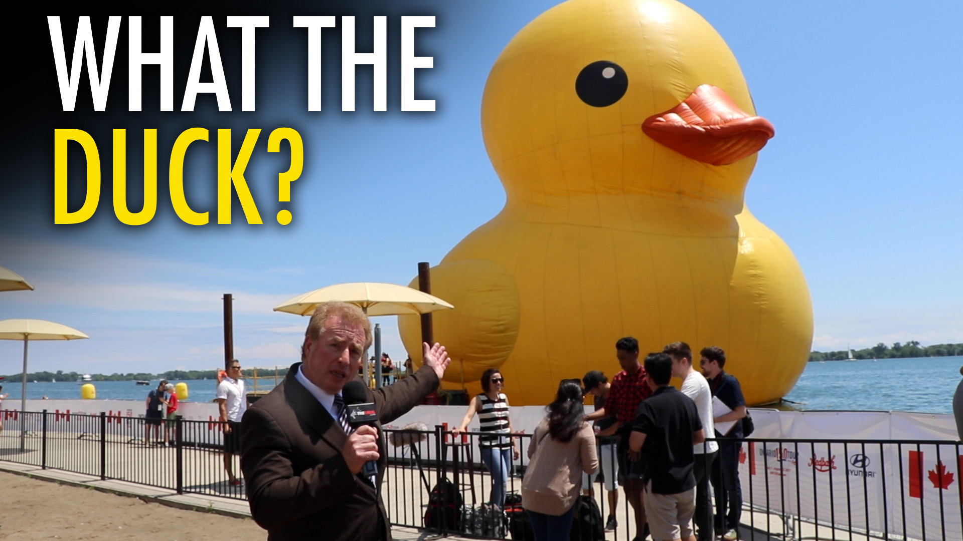 1920x1080 Ontarians take a bath on Canada Day: $200K for world's largest rubber duck  - The Rebel
