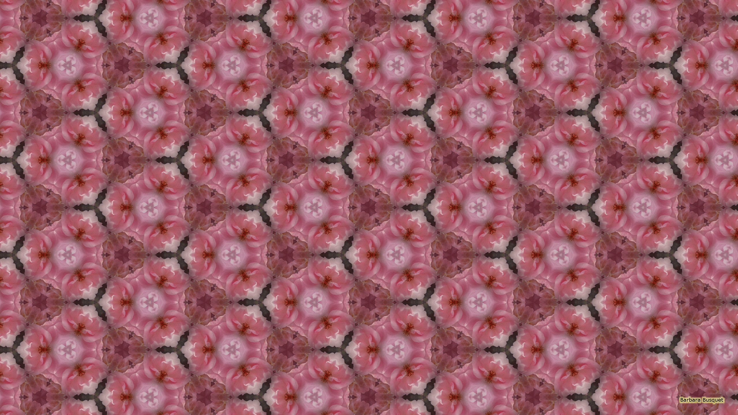 2560x1440 Pink roses pattern wallpaper