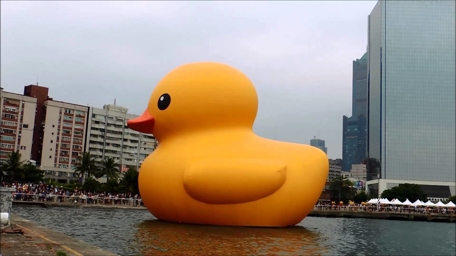 1920x1080 Giant Rubber Duck in Kaohsiung