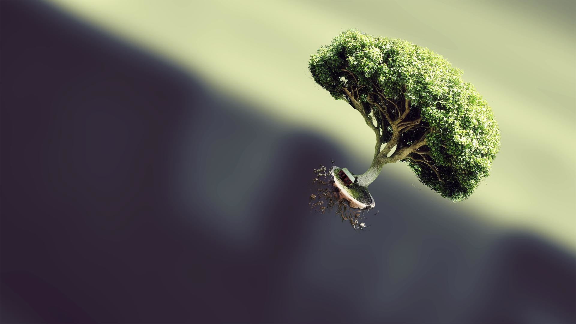 1920x1080 Tiny tree floating away [x-post from r/wallpaper] ...