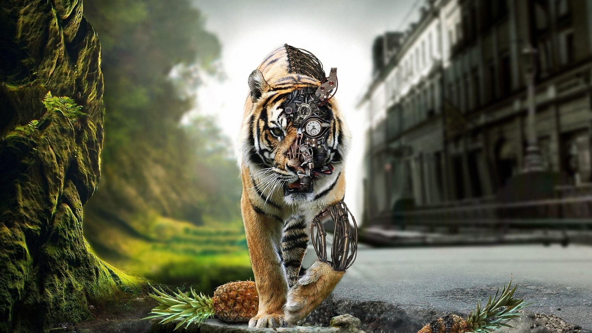 1920x1080 0 1920X1080 Tiger Wallpaper Full HD  Awesome Fantasy Tiger 1080P full  HD Wallpapers