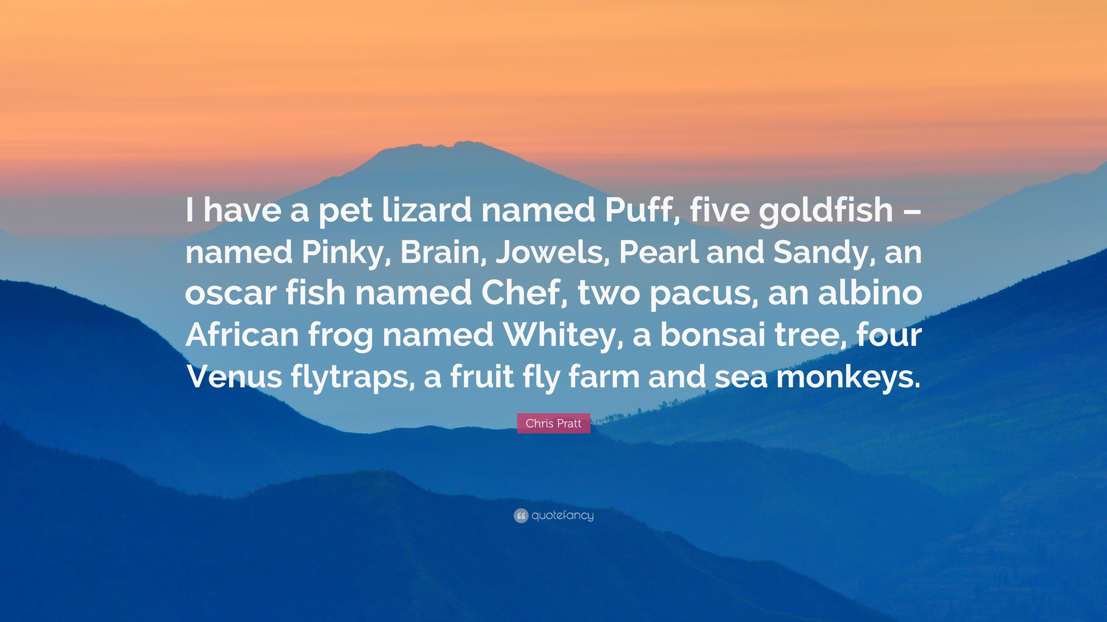 3840x2160 Chris Pratt Quote: “I have a pet lizard named Puff, five goldfish –