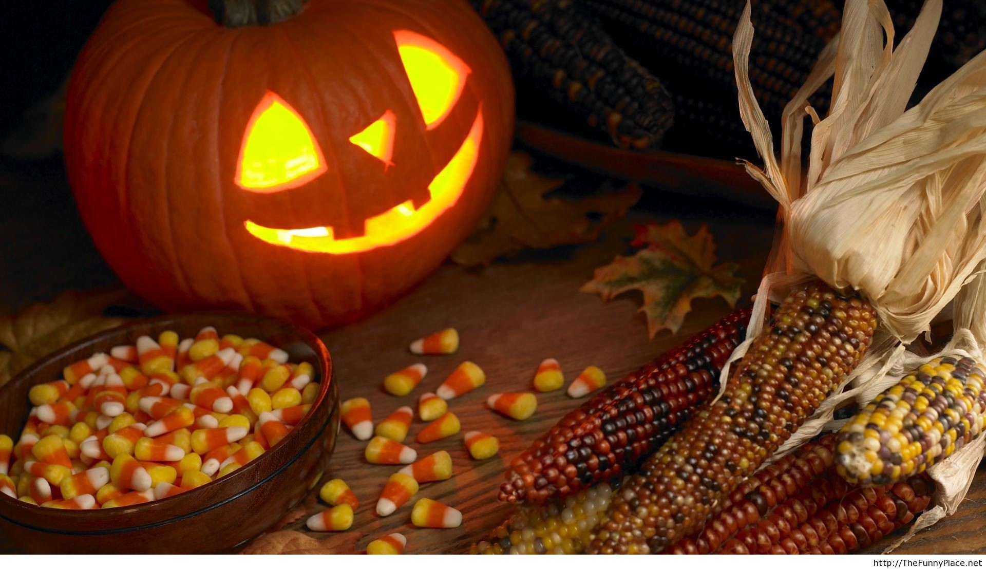 Halloween Candy Decor Image  Photo Free Trial  Bigstock