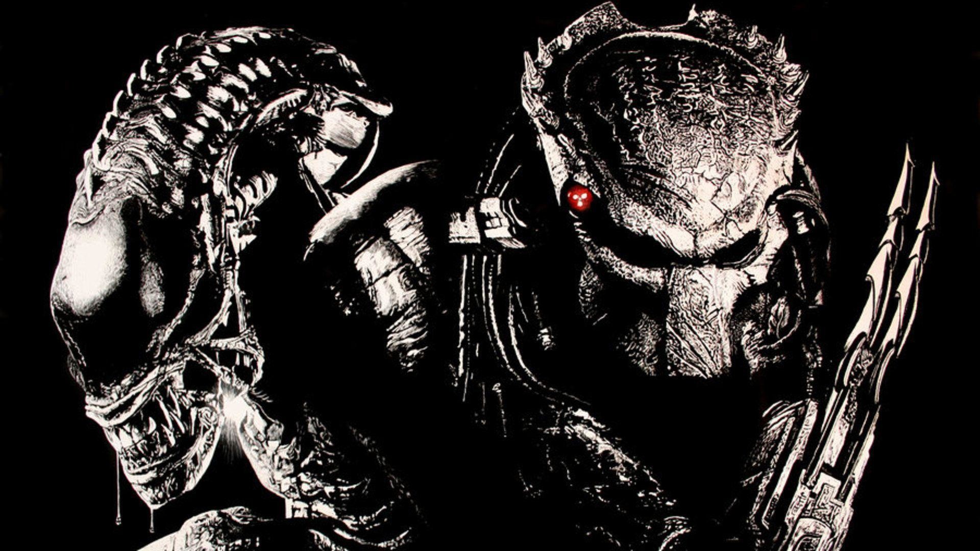 Aliens Vs Predator Wallpaper.