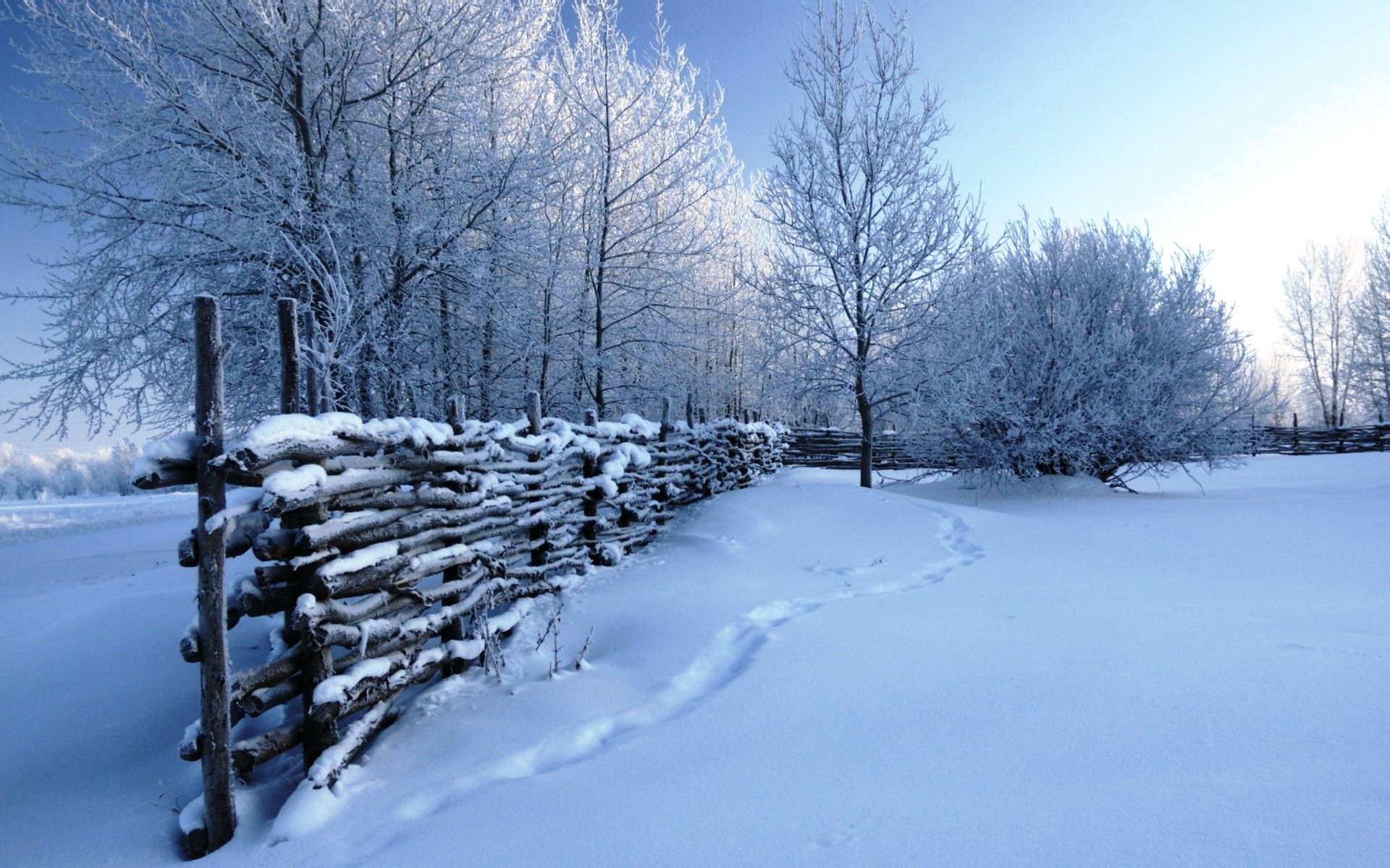 1920x1200 Winter Snow Scenes Wallpaper