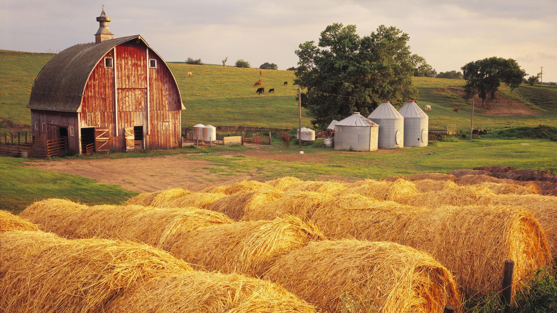 1920x1080 Life On the Farm Country | Farm Computer Wallpapers, Desktop Backgrounds |   | ID