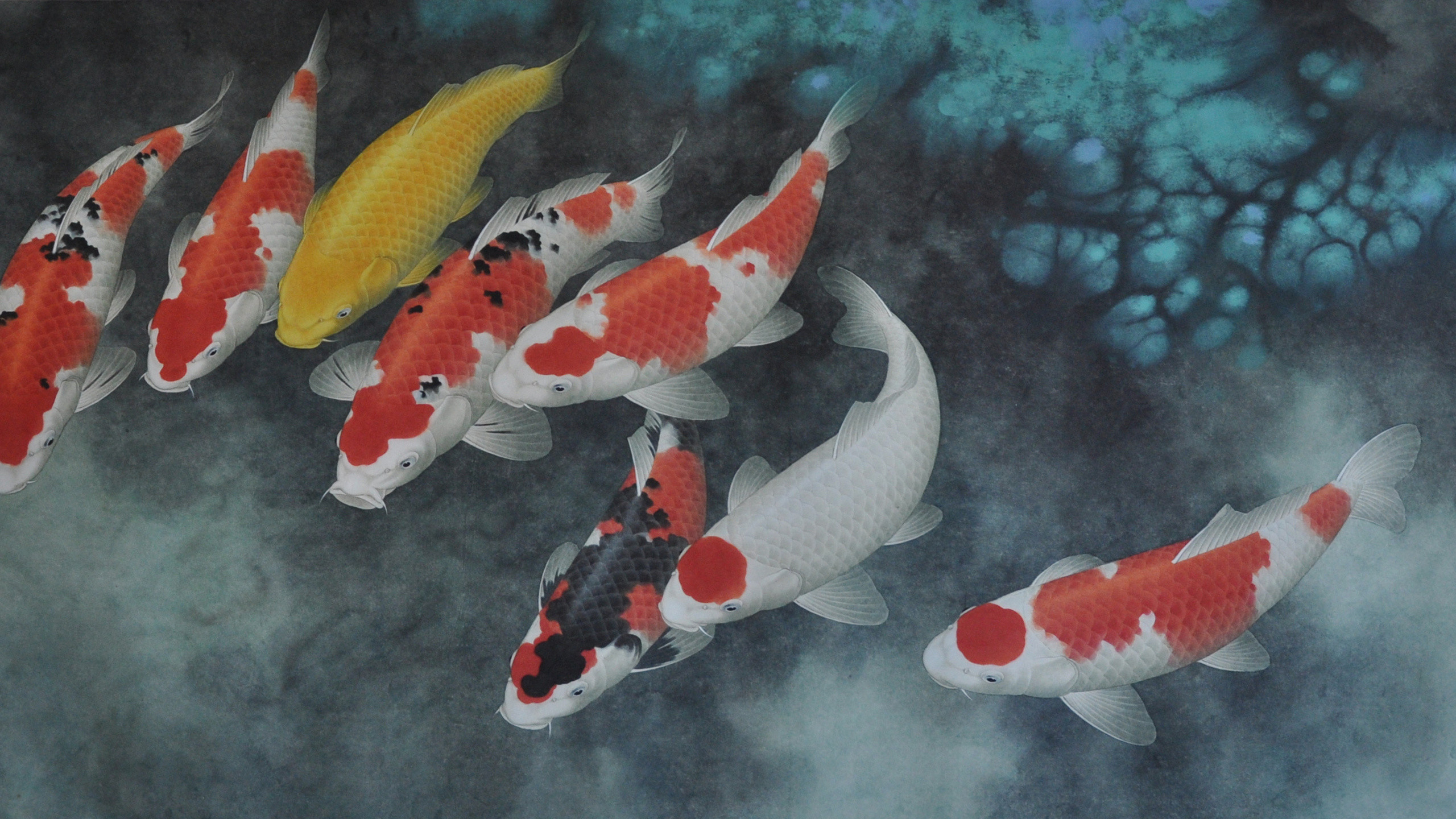 2560x1440  Chinese Painting, Koi, Fish, Boxun Zhao, Koi ... coy fish  wallpaper hd ...