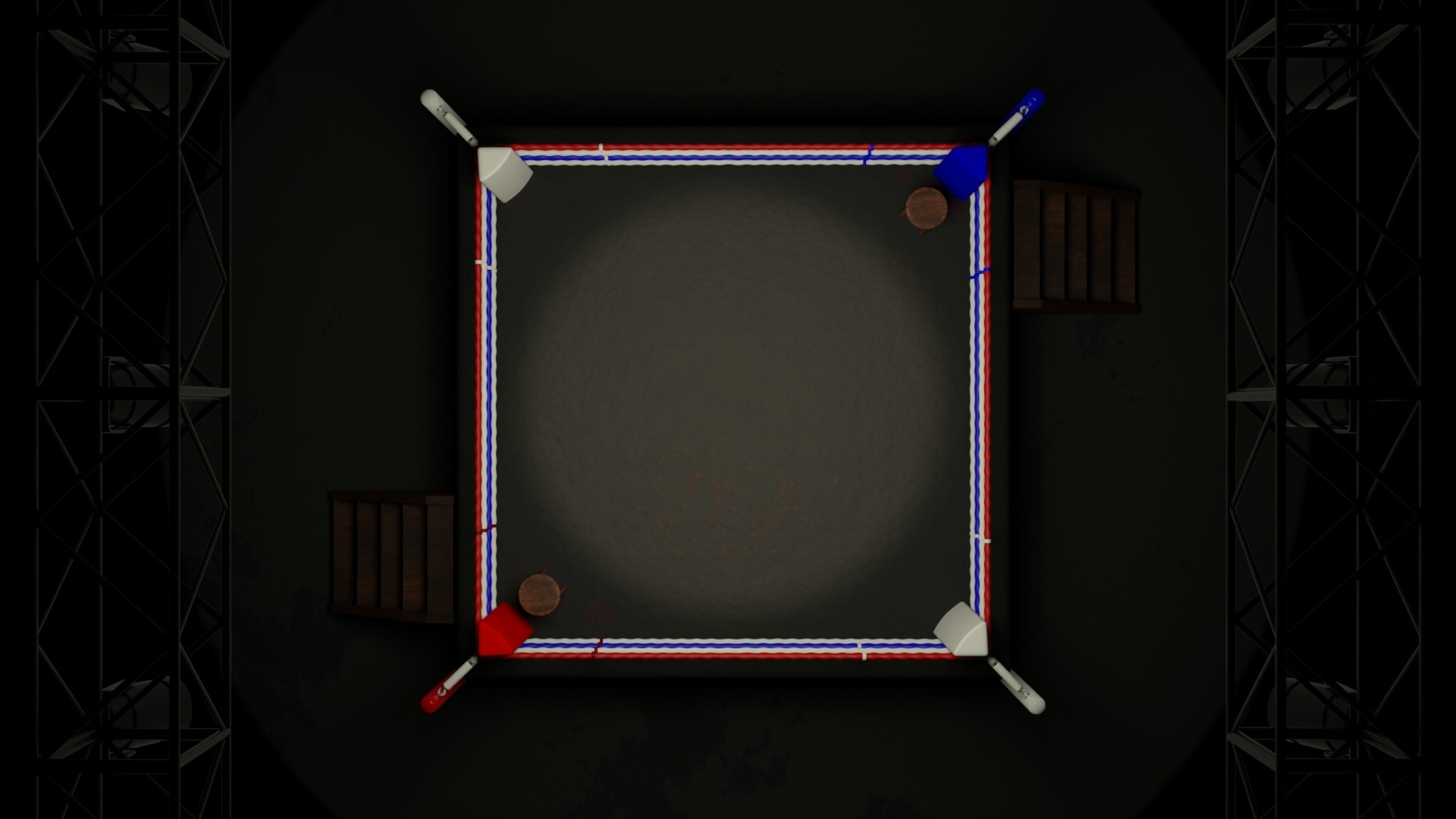 wrestling ring top view