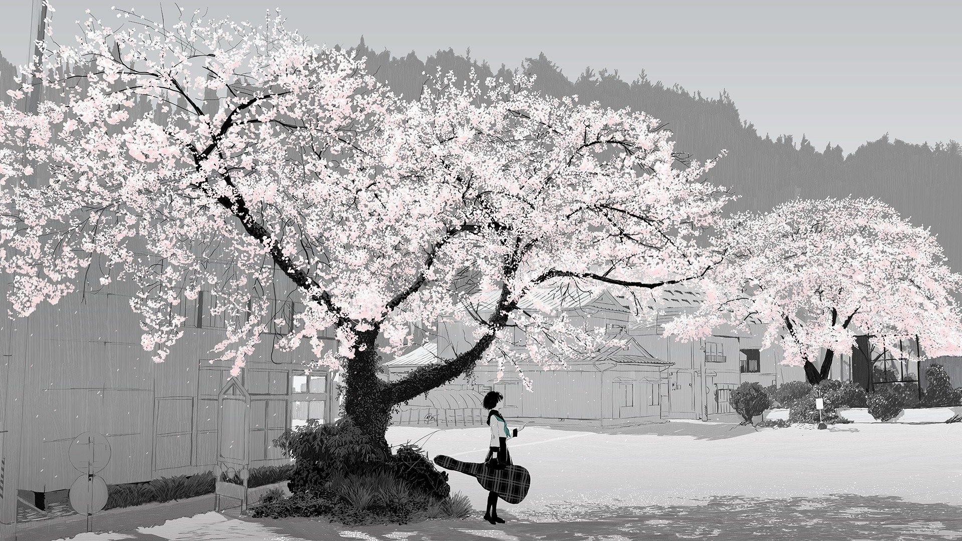 1920x1080 Anime Cherry Blossom Widescreen Wallpaper Download Anime Cherry Blossom  Image