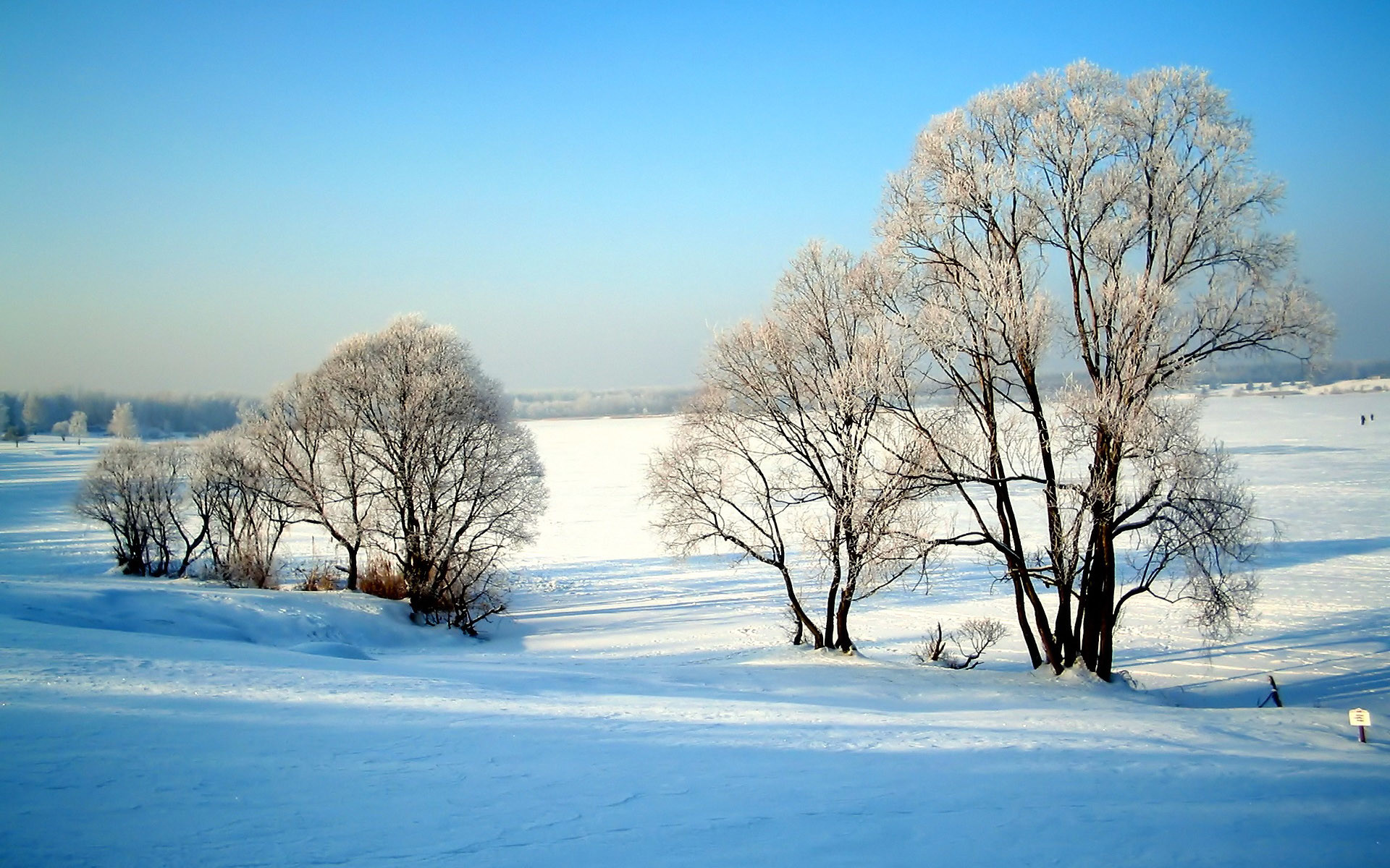 1920x1200 1920*1200 Widescreen Winter Snow Scenes - Dreamy Winter Snow Wallpaper .