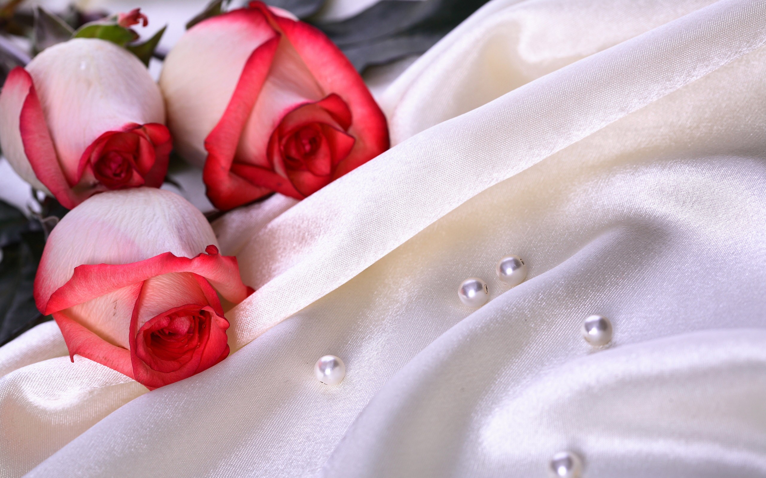 2560x1600 Pearls Tag wallpapers: White Etude Photography Platter Roses Romantic  Lillies Pearls Glass Lace Music Notes