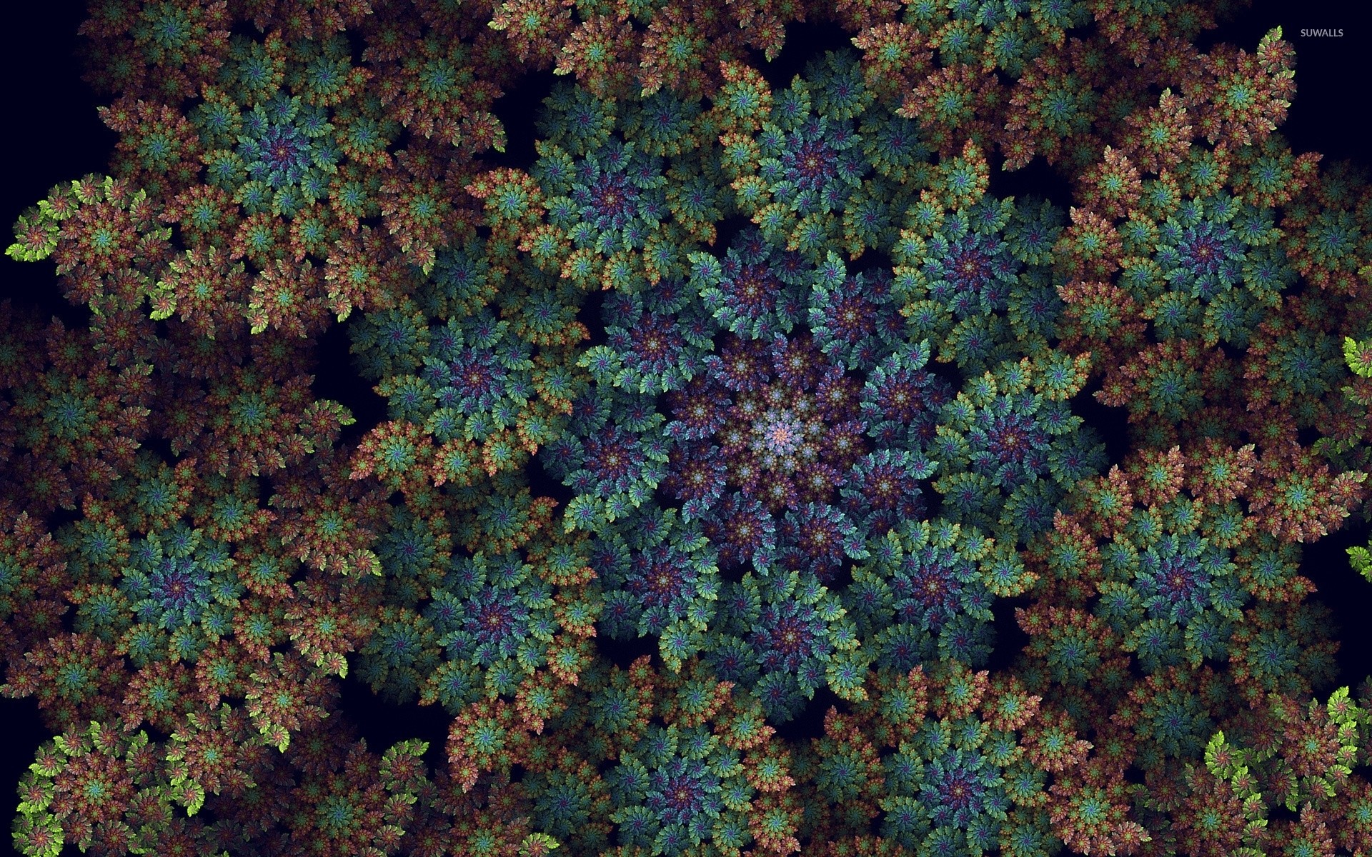 1920x1200 Top view of an abstract spring forest wallpaper