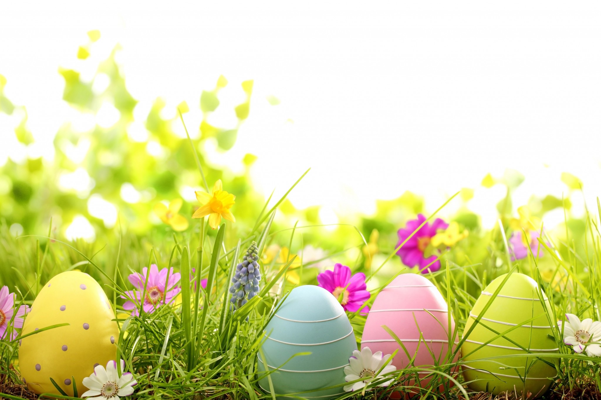 2048x1365 easter widescreen backgrounds