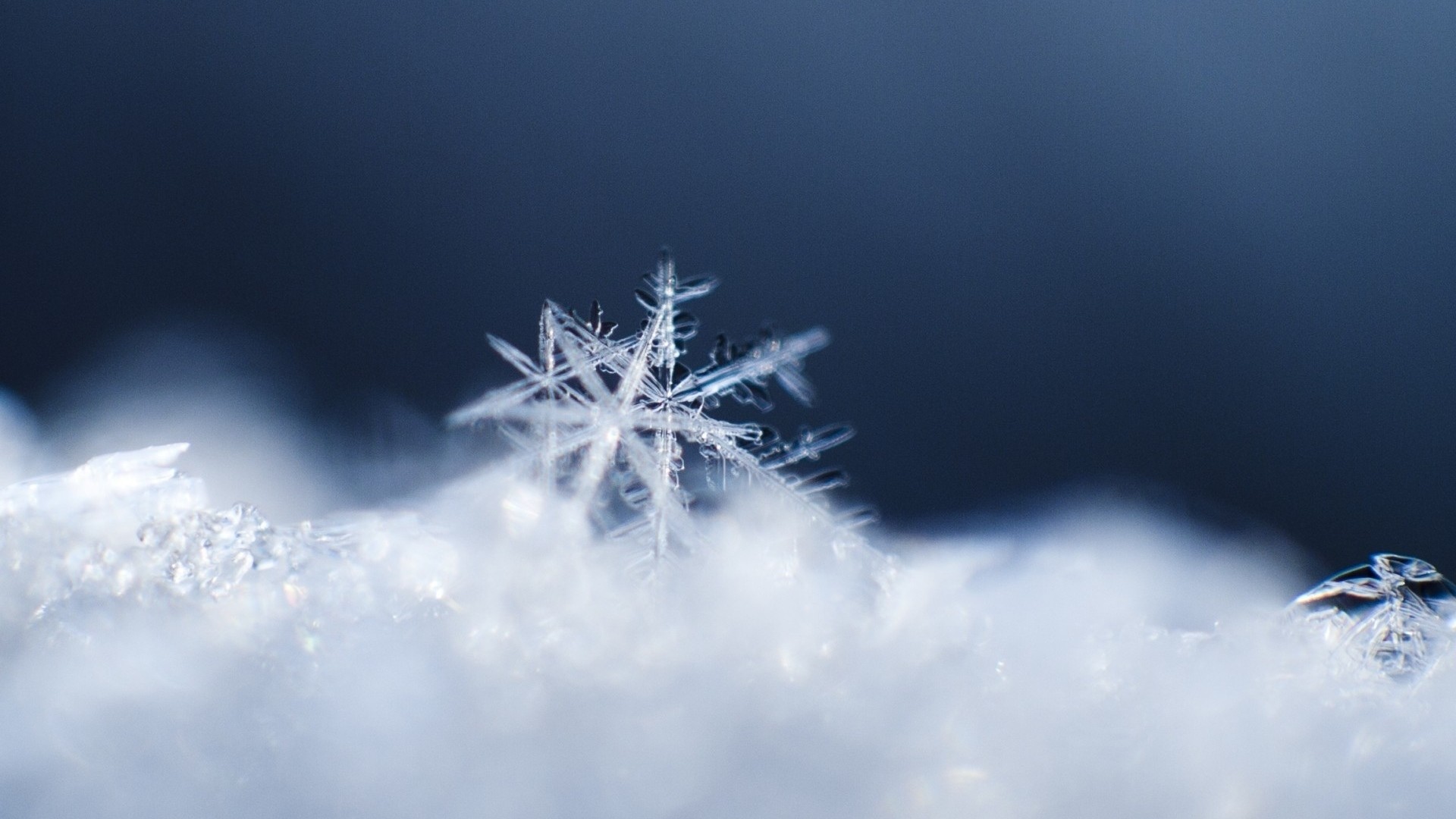 1920x1080  Wallpaper snowflake, snow, surface