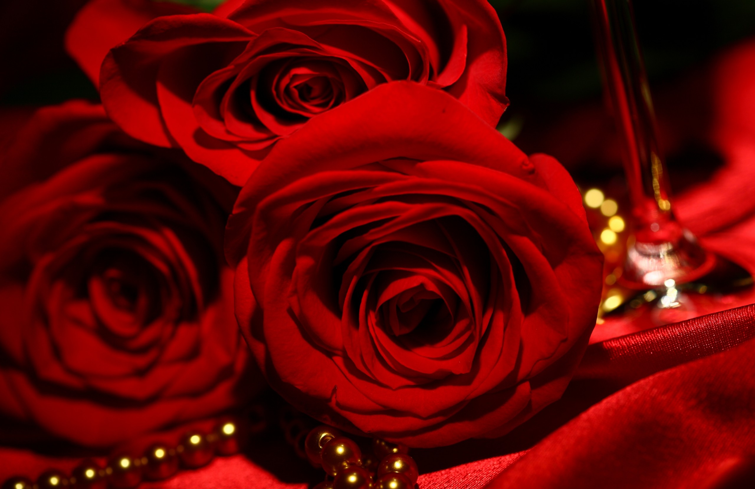 2560x1660 ... red-roses-wallpapers-free-hd-most-beautiful ...
