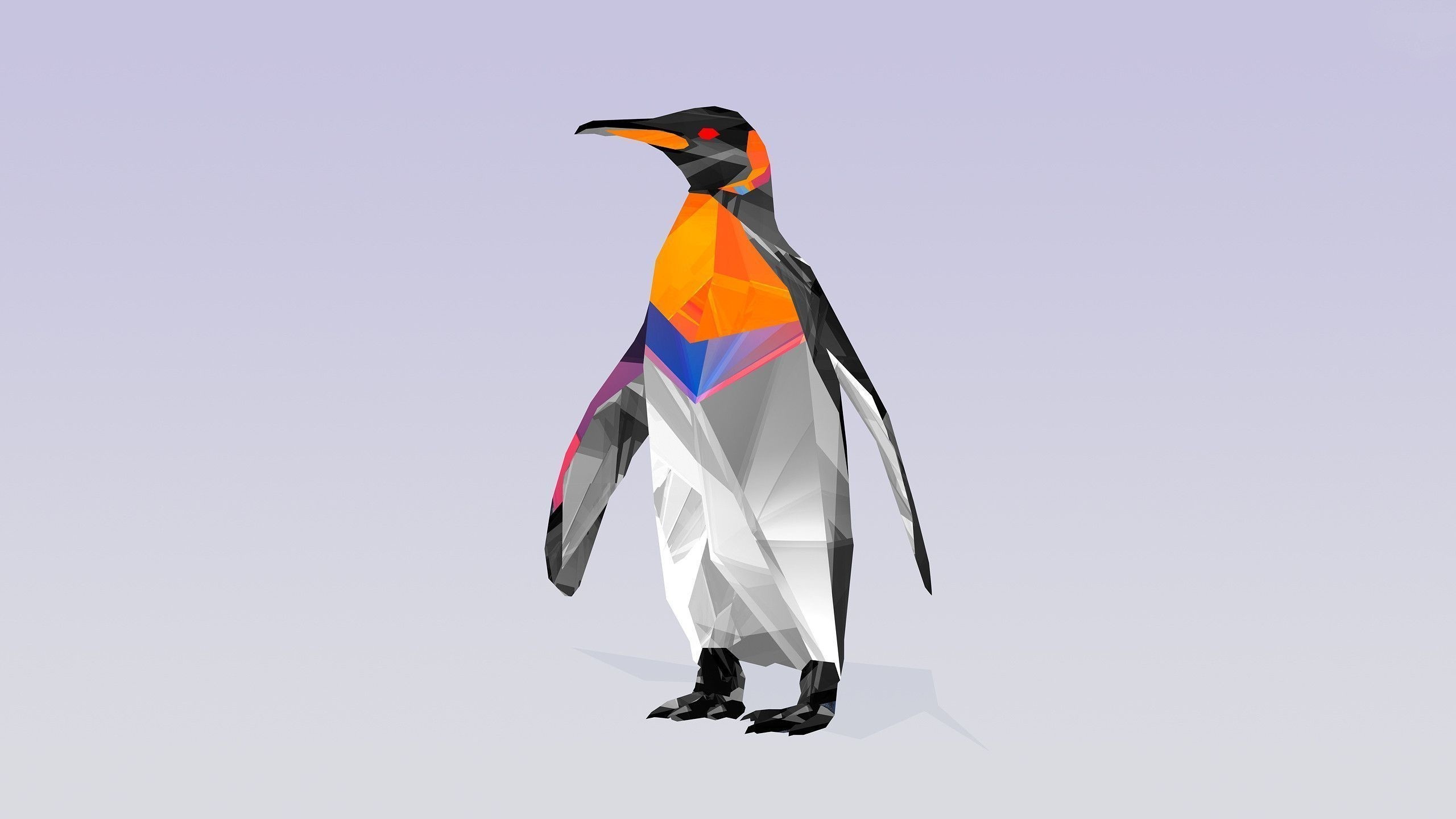 2560x1440 Penguin HQ Desktop Wallpaper 28150