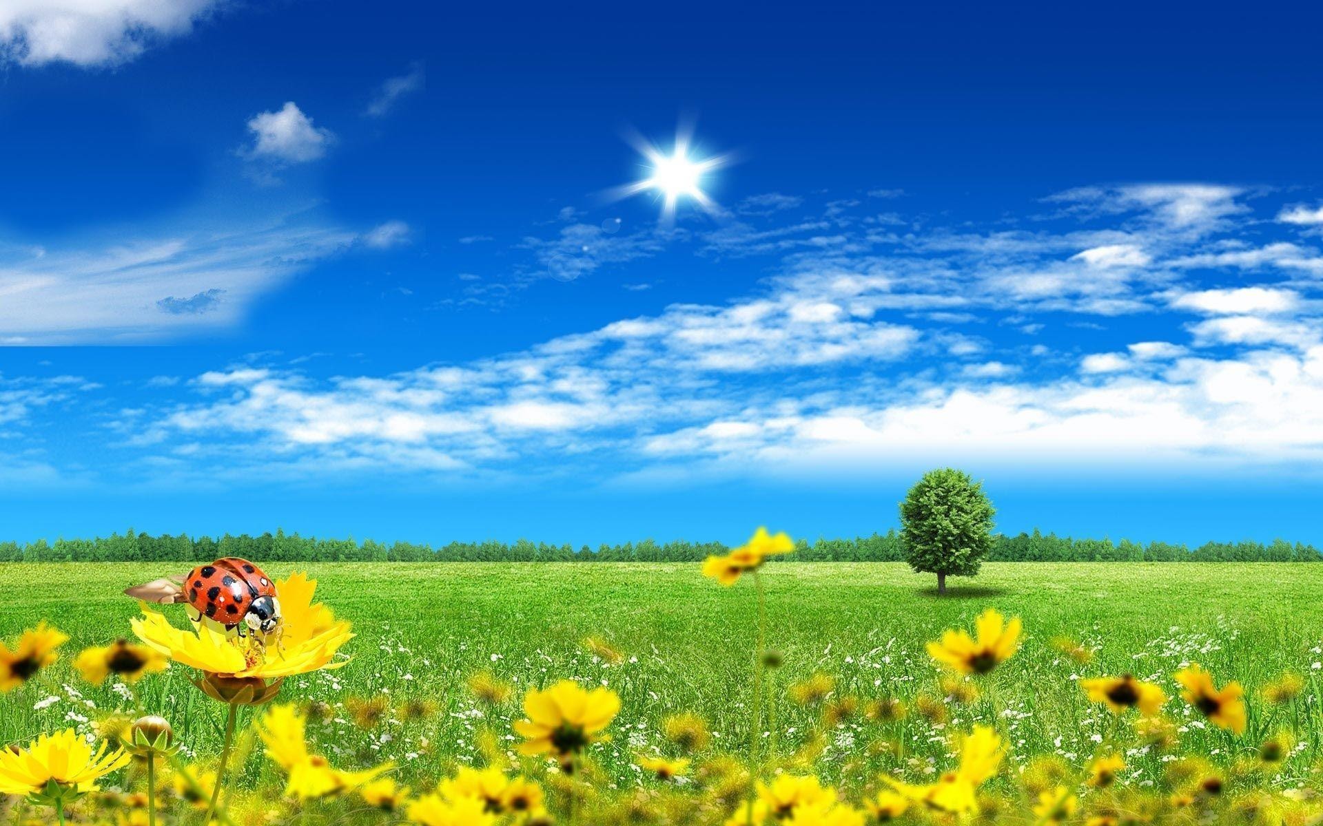 1920x1200 Images For > Beautiful Sunny Day Wallpaper