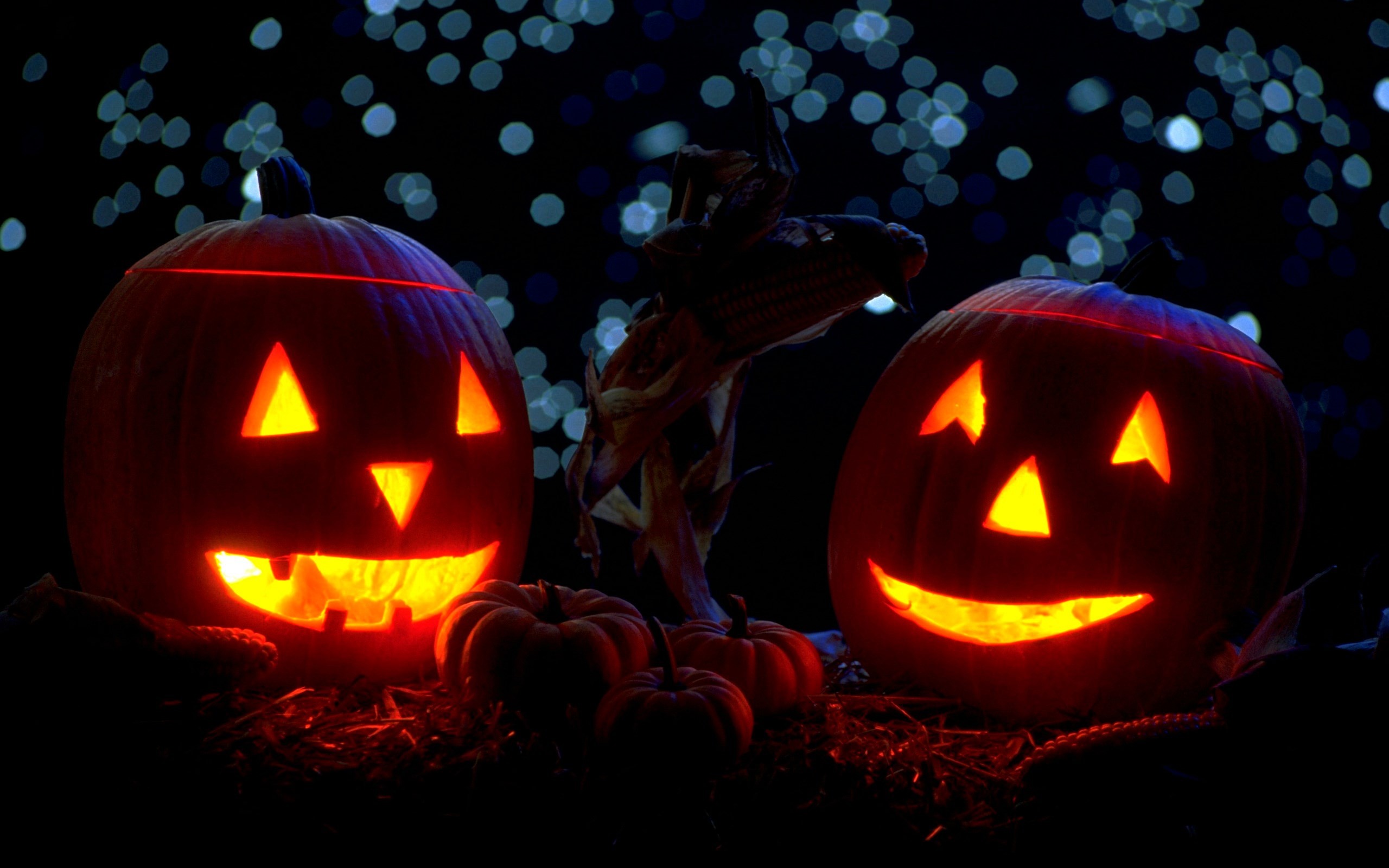 2560x1600 Pumpkins with candles in the night halloween widescreen images.