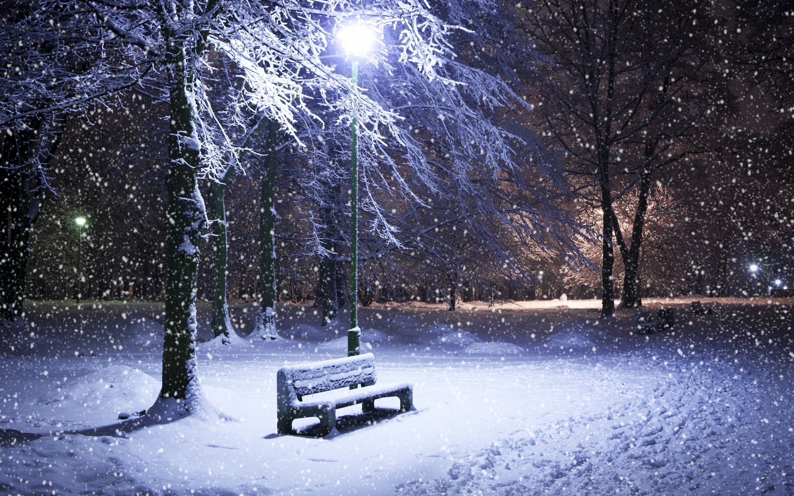 2560x1600 Cool Winter At Nights Wallpaper Beautiful Wallpaper with  .