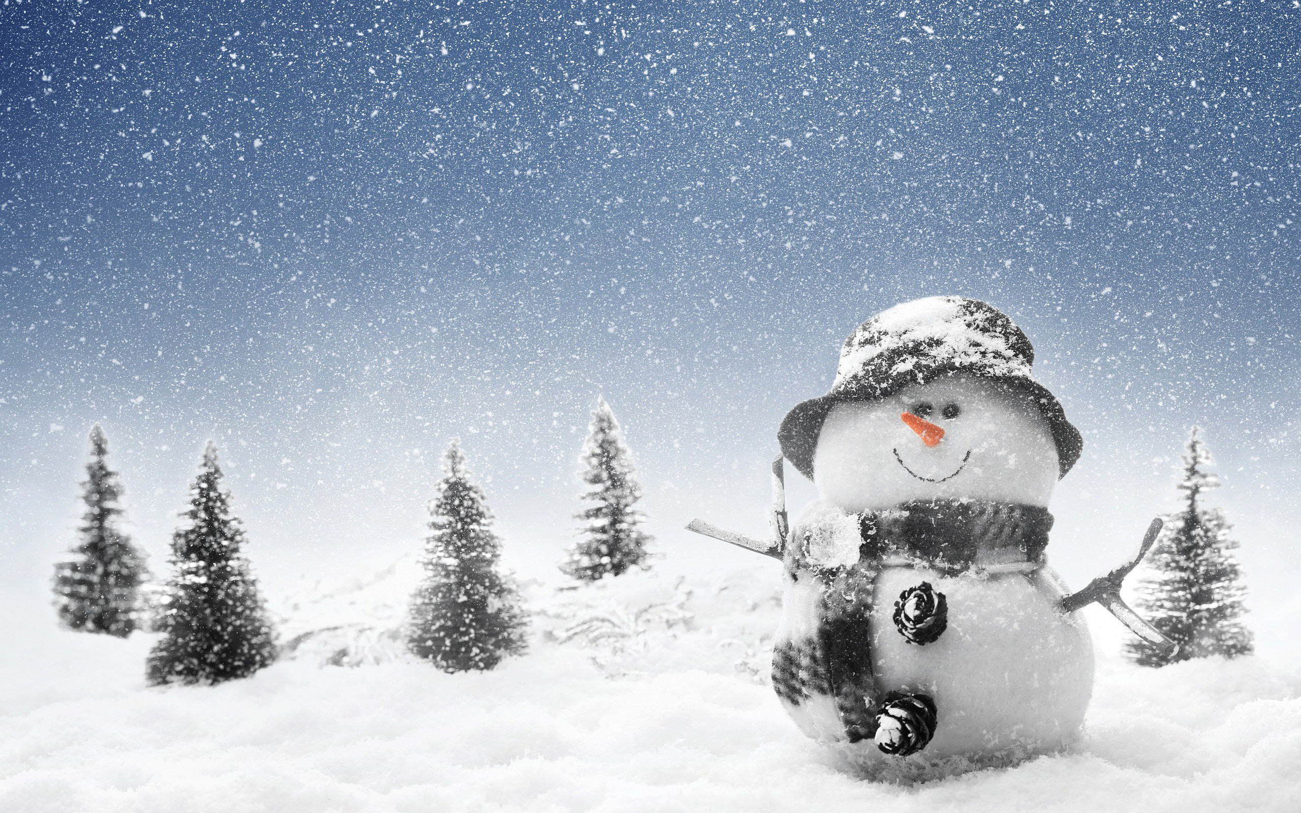 2560x1600 Winter Snowman Wallpaper for Computer