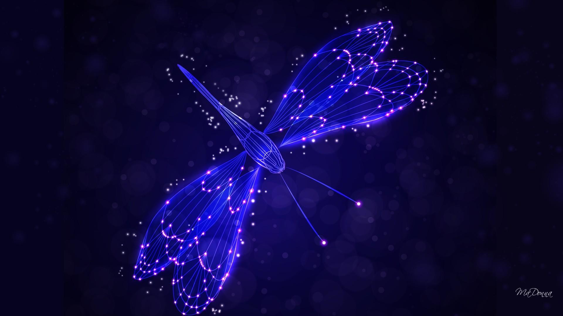 1920x1080 ... Dragonfly Wallpapers, Dragonfly Wallpapers | Dragonfly Awesome .