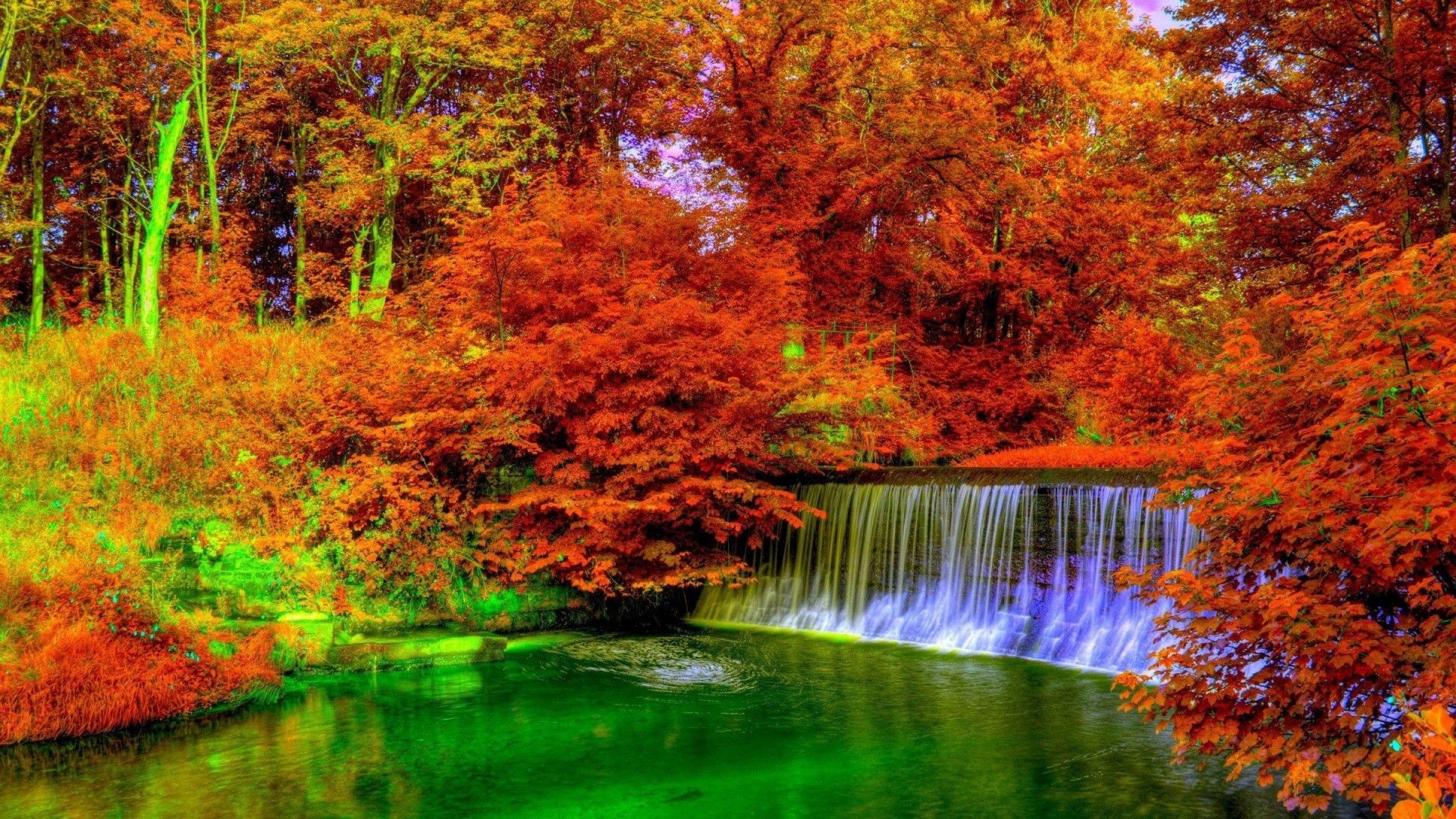 1920x1080 Trees: Trees Autumn Fall Landscape Forest Nature Tree Hd Live 1600Ã1000  Live Nature Wallpapers For PC (52 Wallpapers) | Adorable Wallpapers