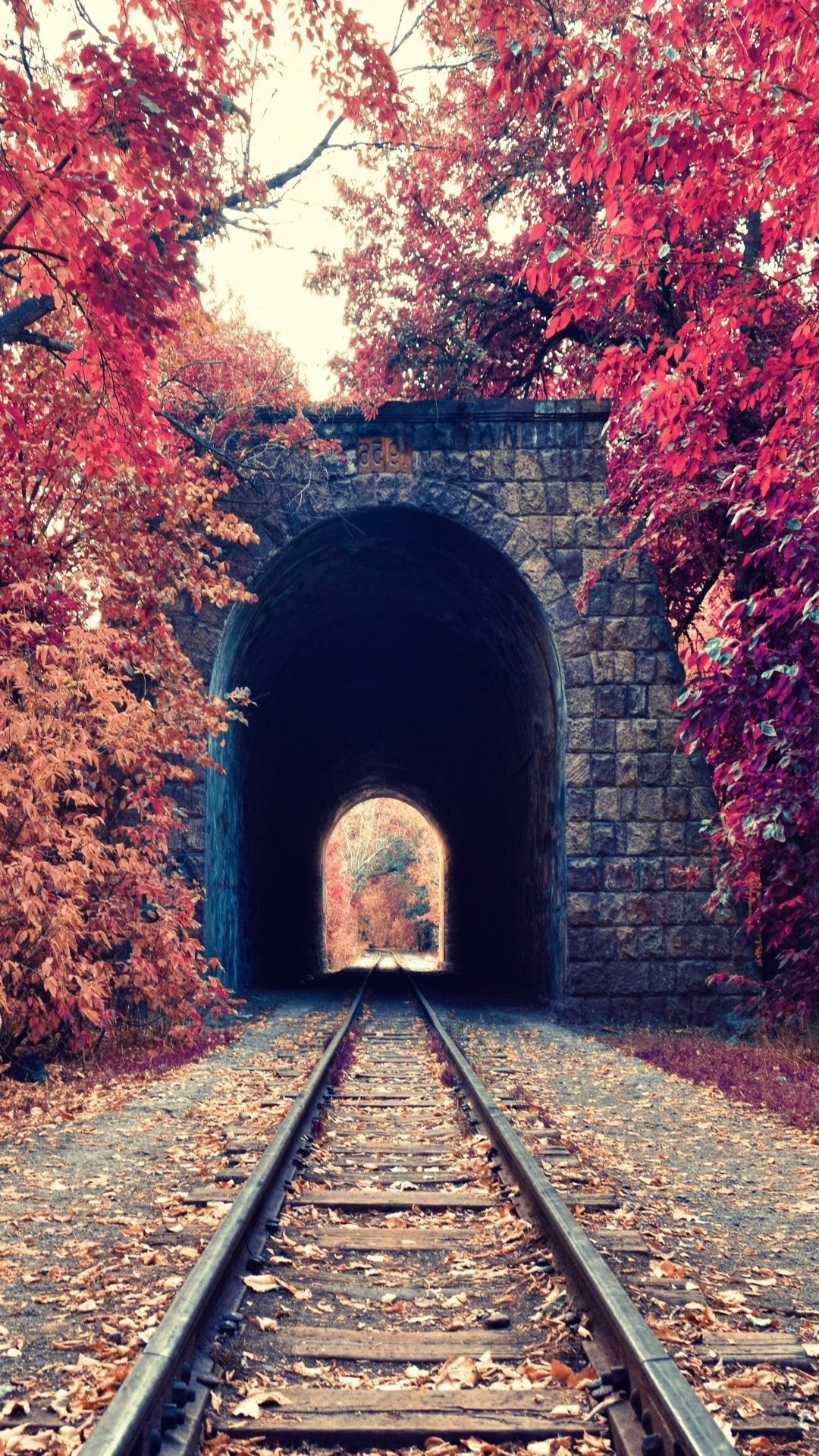 1080x1920 portrait Display, Nature, Trees, Fall, Leaves, Railway, Tunnel, Red,  Bricks, Armenia Wallpapers HD / Desktop and Mobile Backgrounds