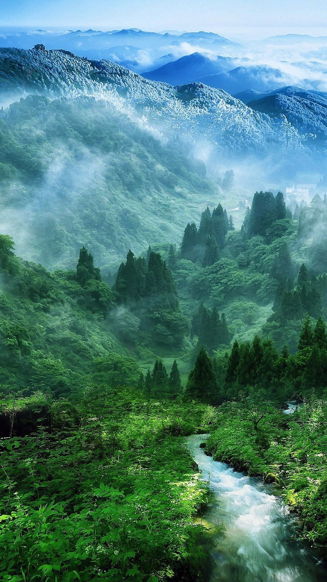 1080x1920 Nature-Mist-Mountain-Wood-Forest-River-Landscape-iPhone-6-wallpaper.