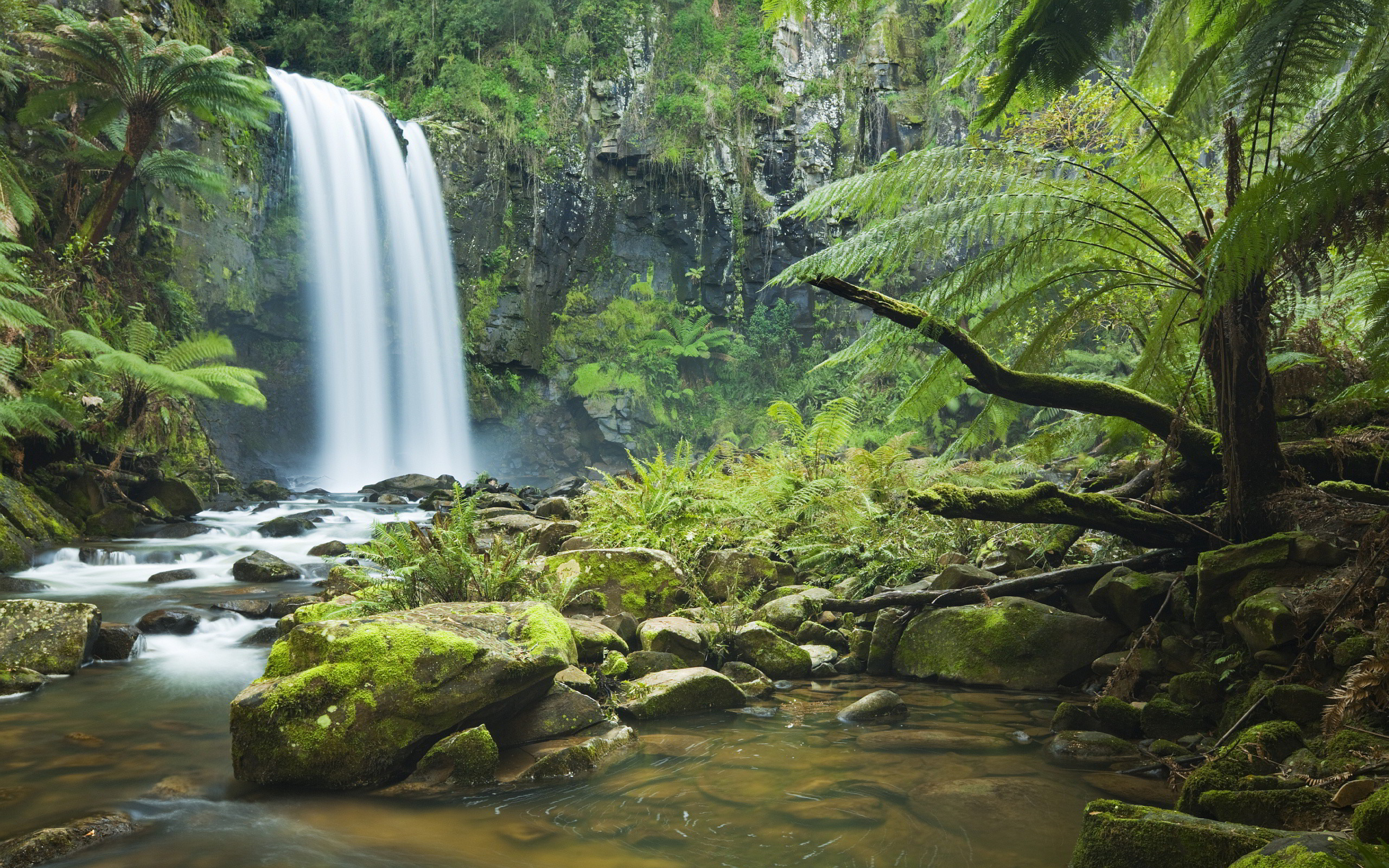 2560x1600 Find out: Tropical Waterfall Background wallpaper on http://hdpicorner.com/