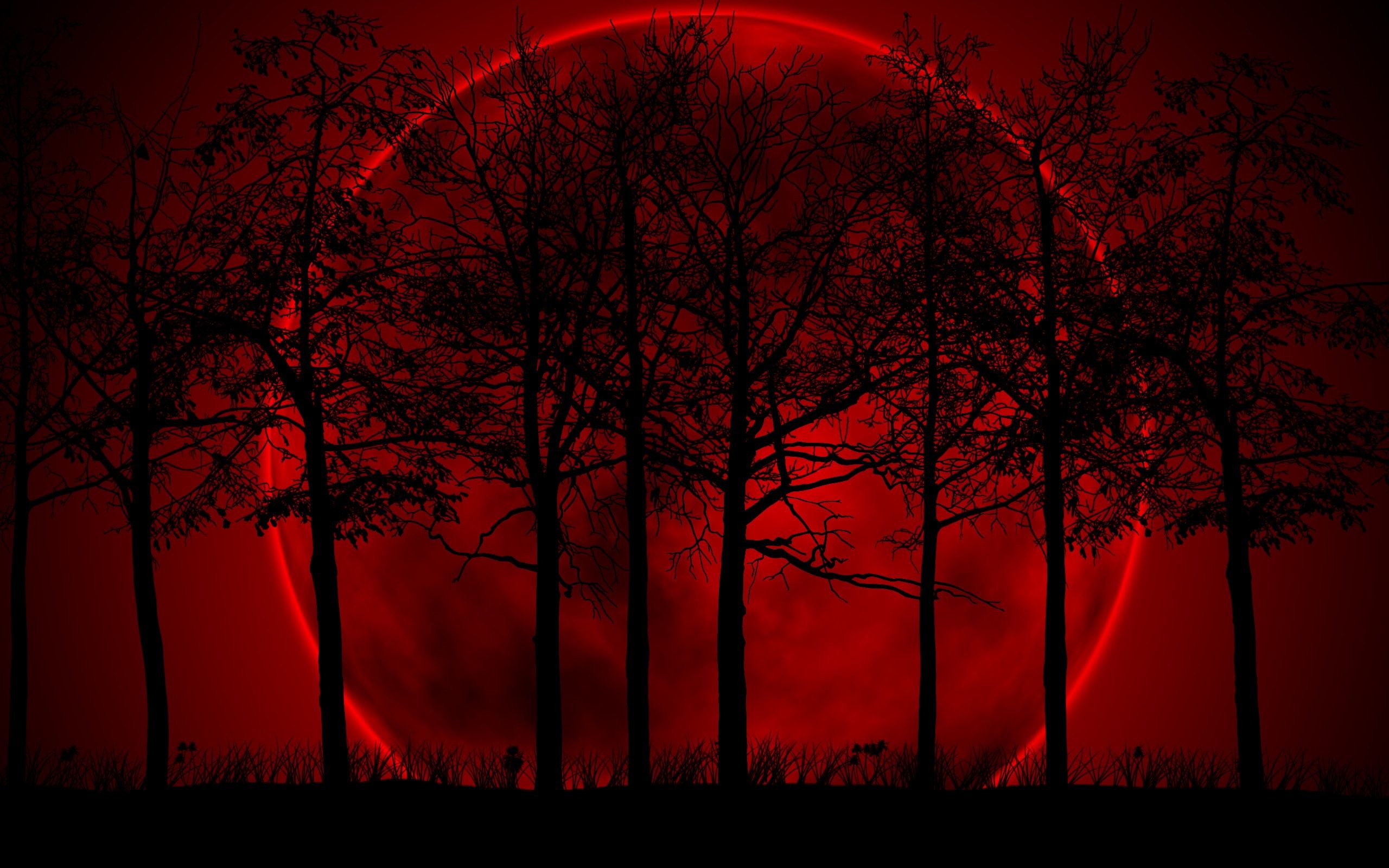 2560x1600 Blood Red Moon